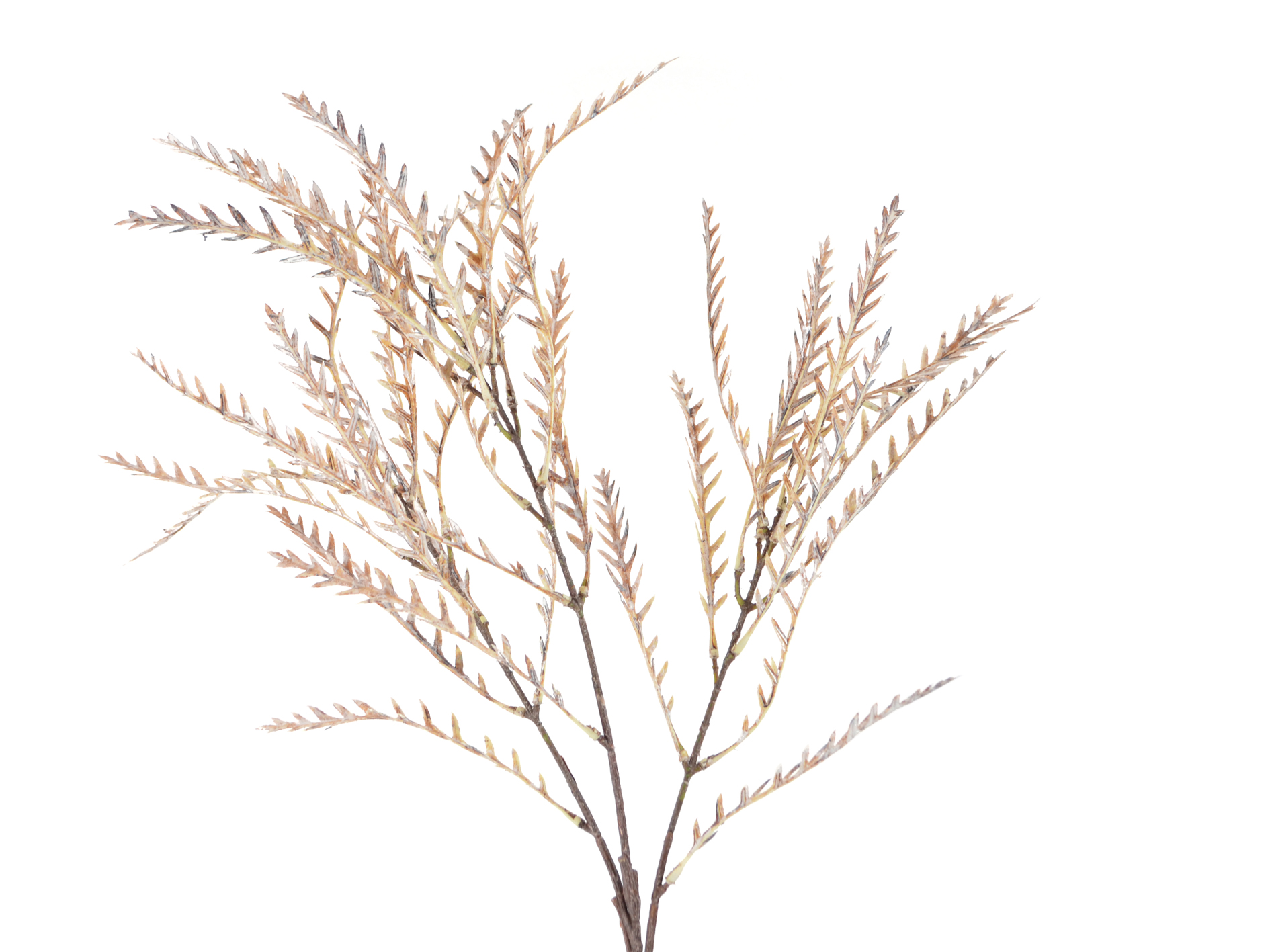 Leaf branch, 79cm, yellow-brown