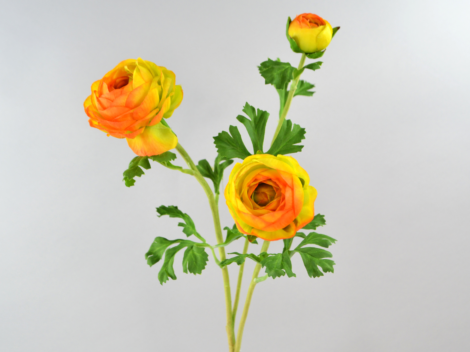 Ranunkel-zweig, 71cm, gelb-orange