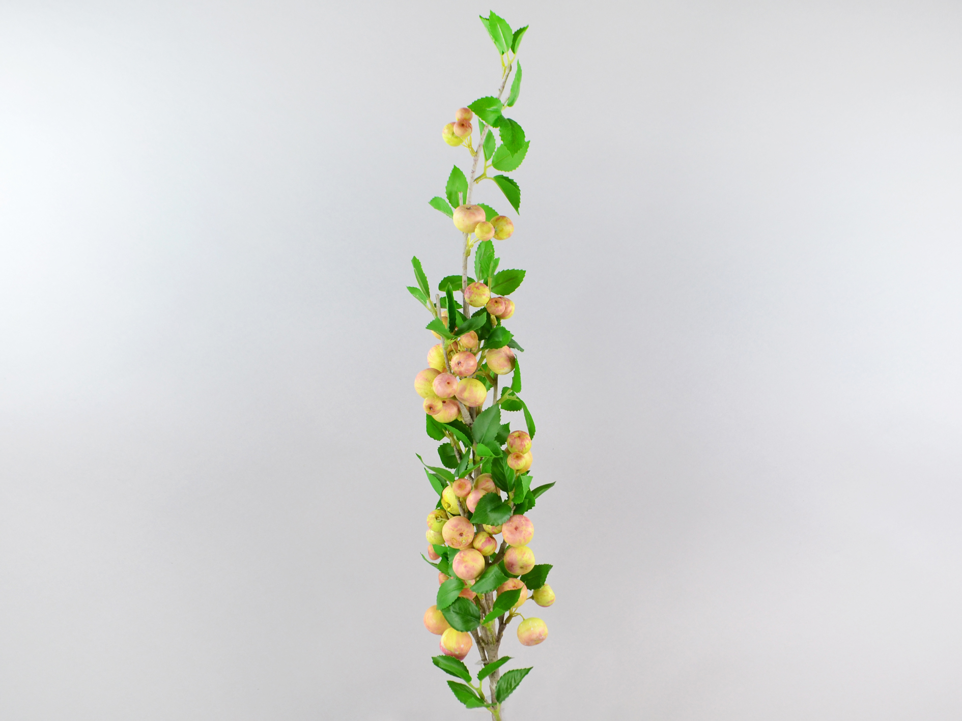 Branch with leaves and fruit, 110cm, pink-green