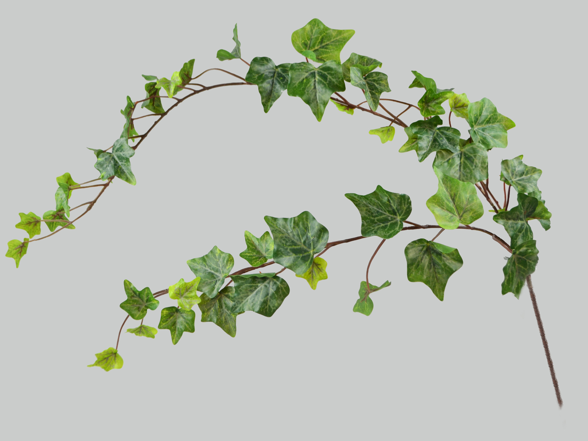 Ivy branch x3, 81cm, frosted green