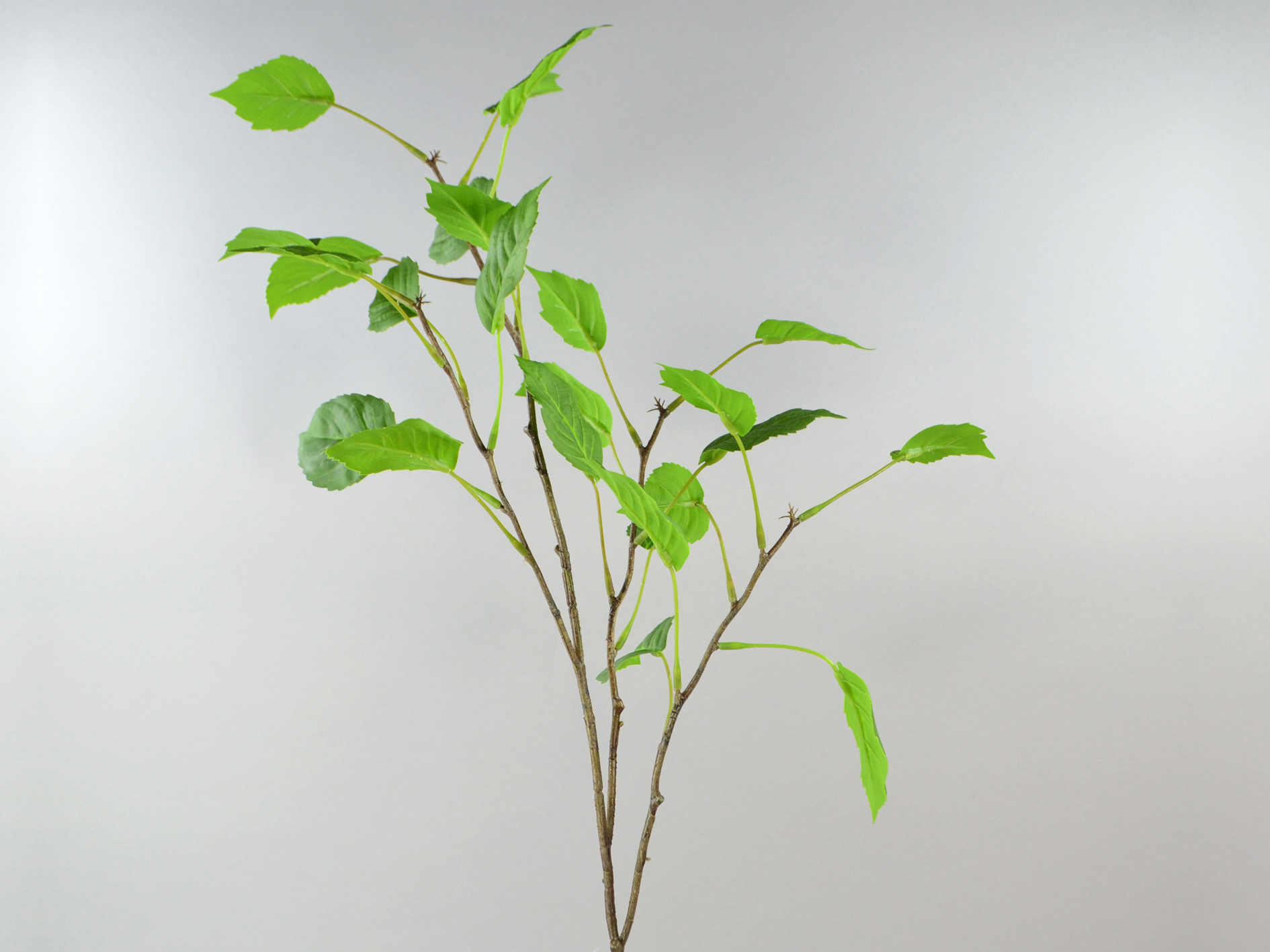 Blatt Hortensienblatt-Zweig, 112cm, grün