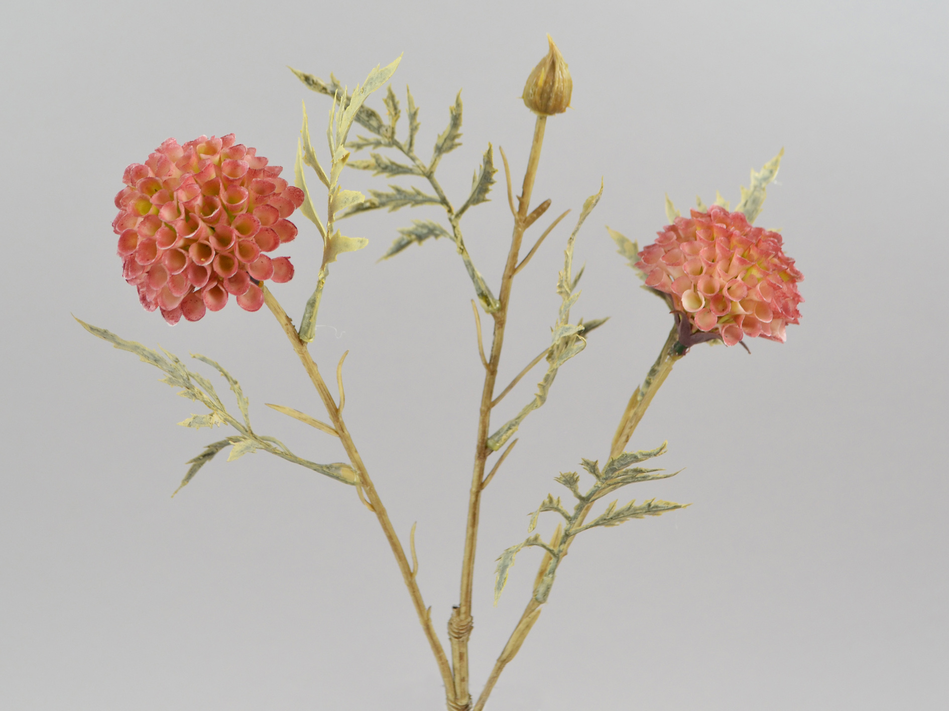 Dahlia branch x2, 45cm, old pink
