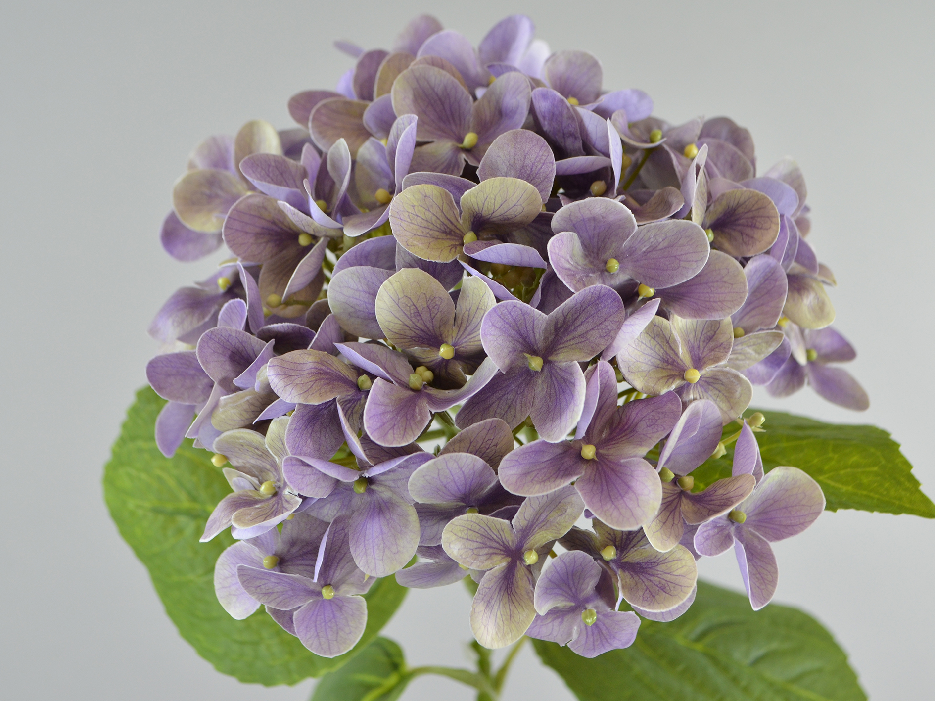 Hydrangea branch, 63cm, light purple