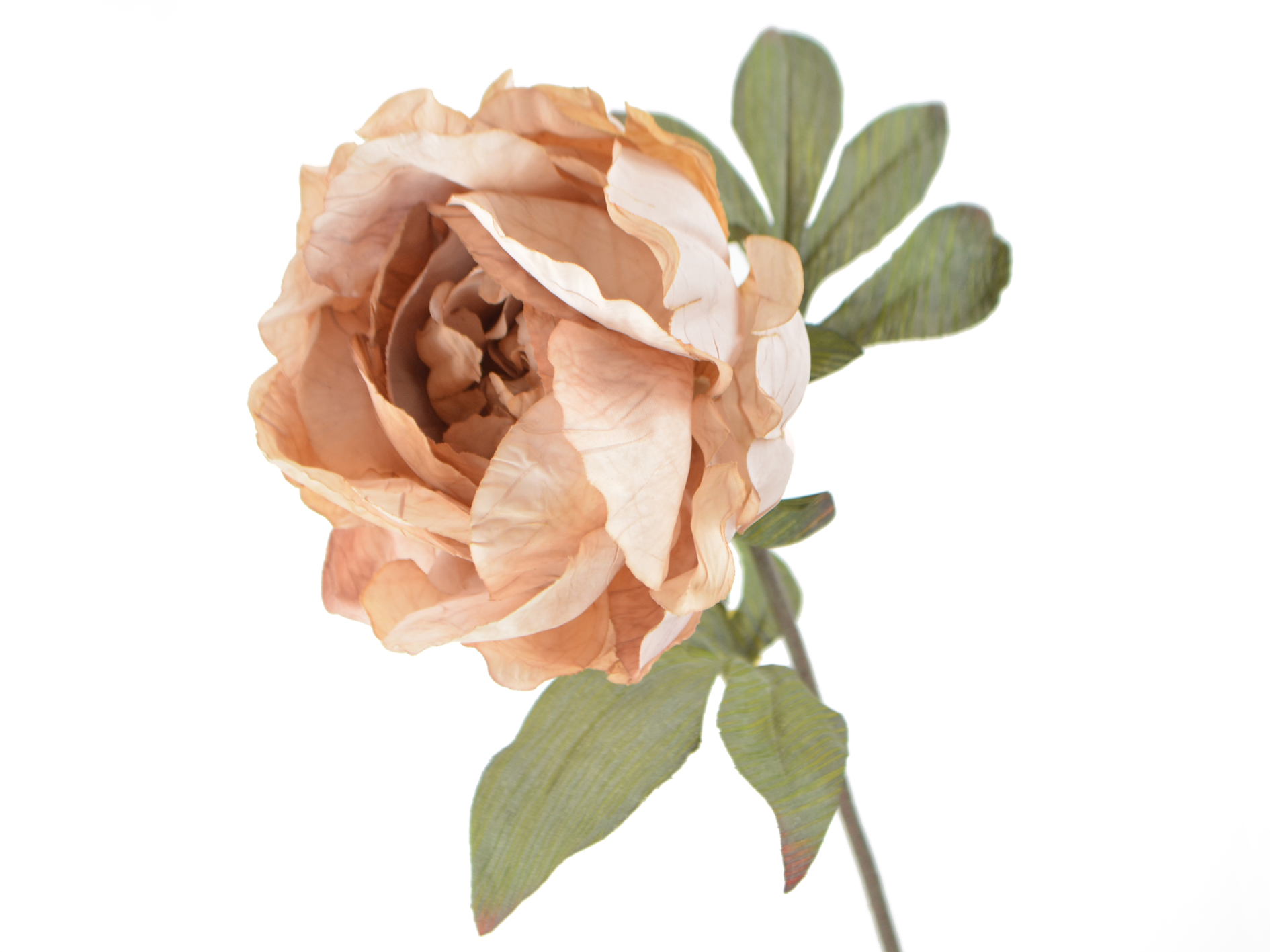 Peony branch, 58cm, beige-pink