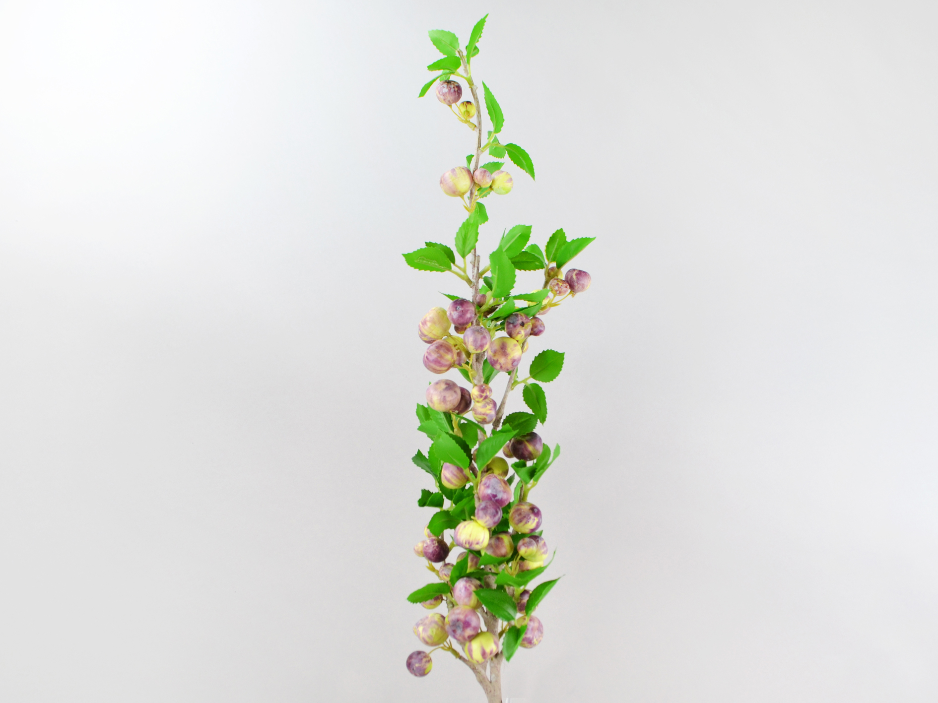Branch with leaves and fruit, 110cm, purple-green