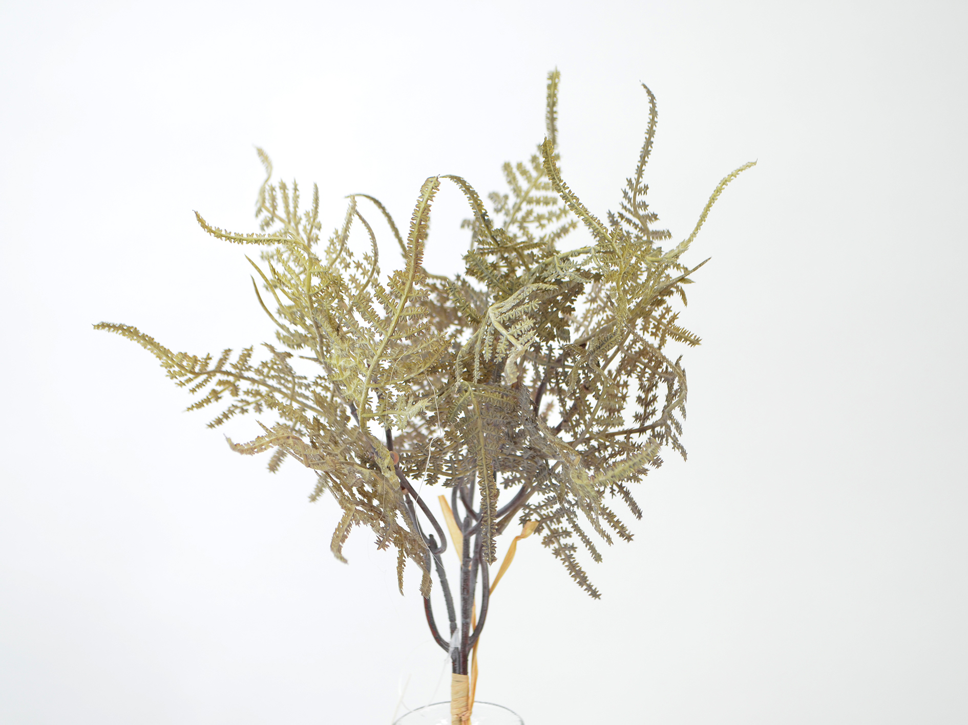 Fern branch bundle, 35cm, green