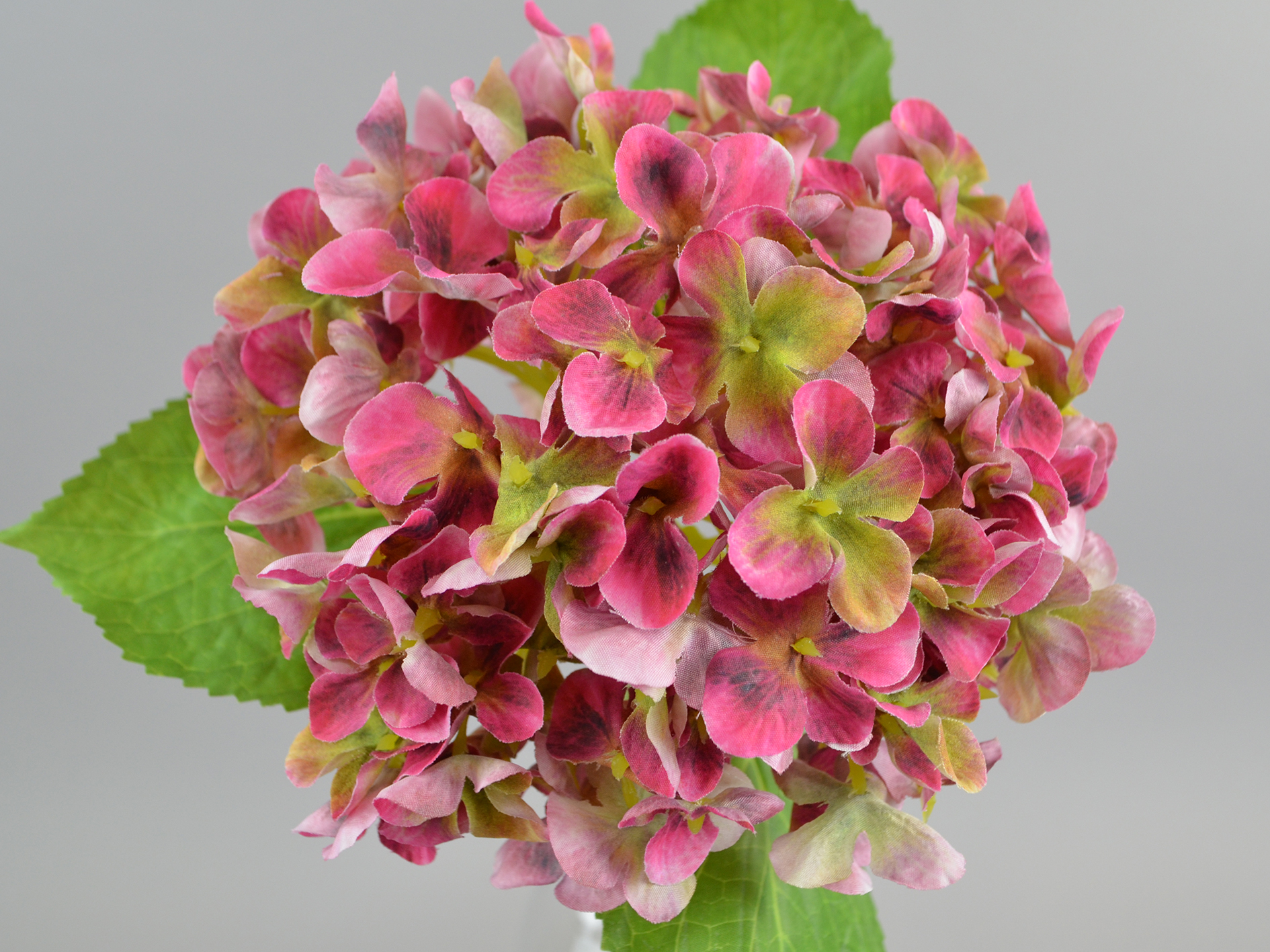 Hydrangea branch, 45cm, purple-green