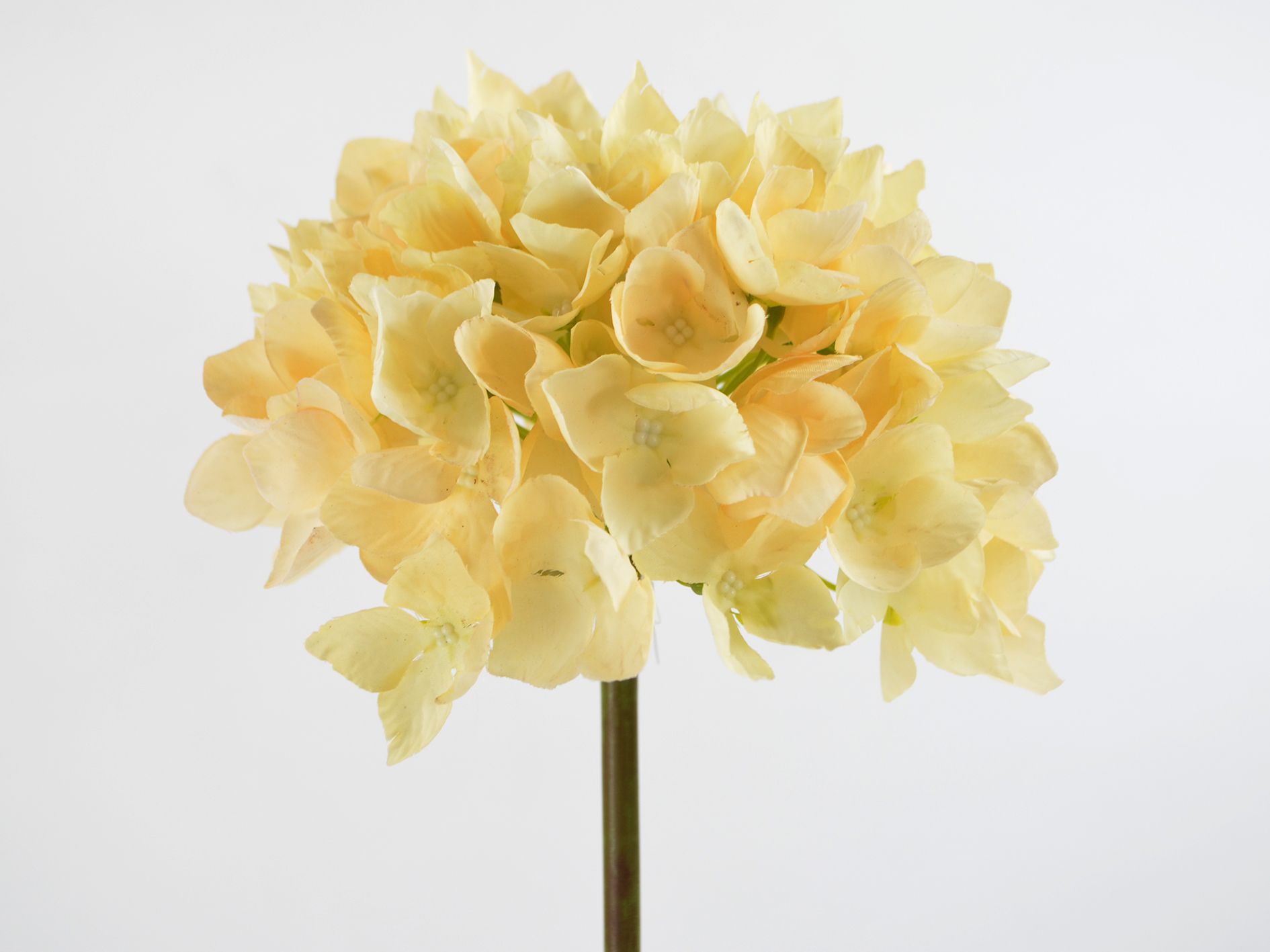 Hortensientuff, 50cm, creme-weiß