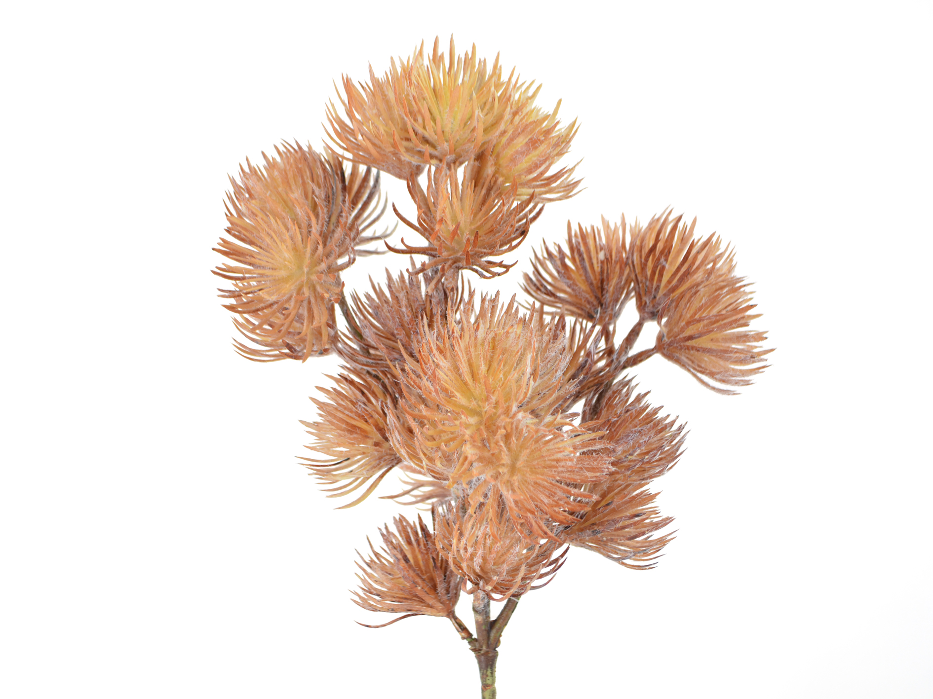 Needle branch flocked, 50cm, light brown