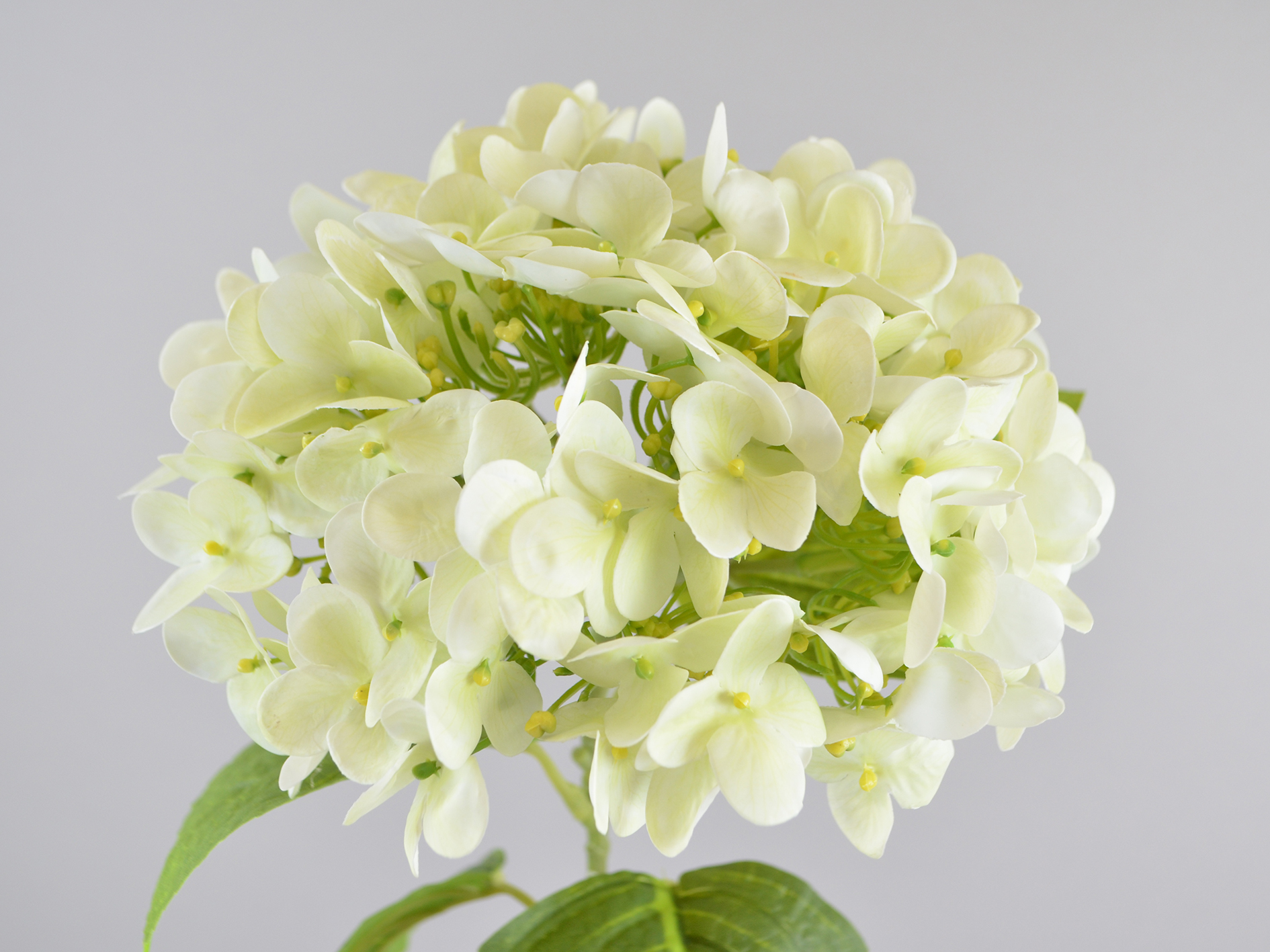 Hydrangea branch, 63cm, white