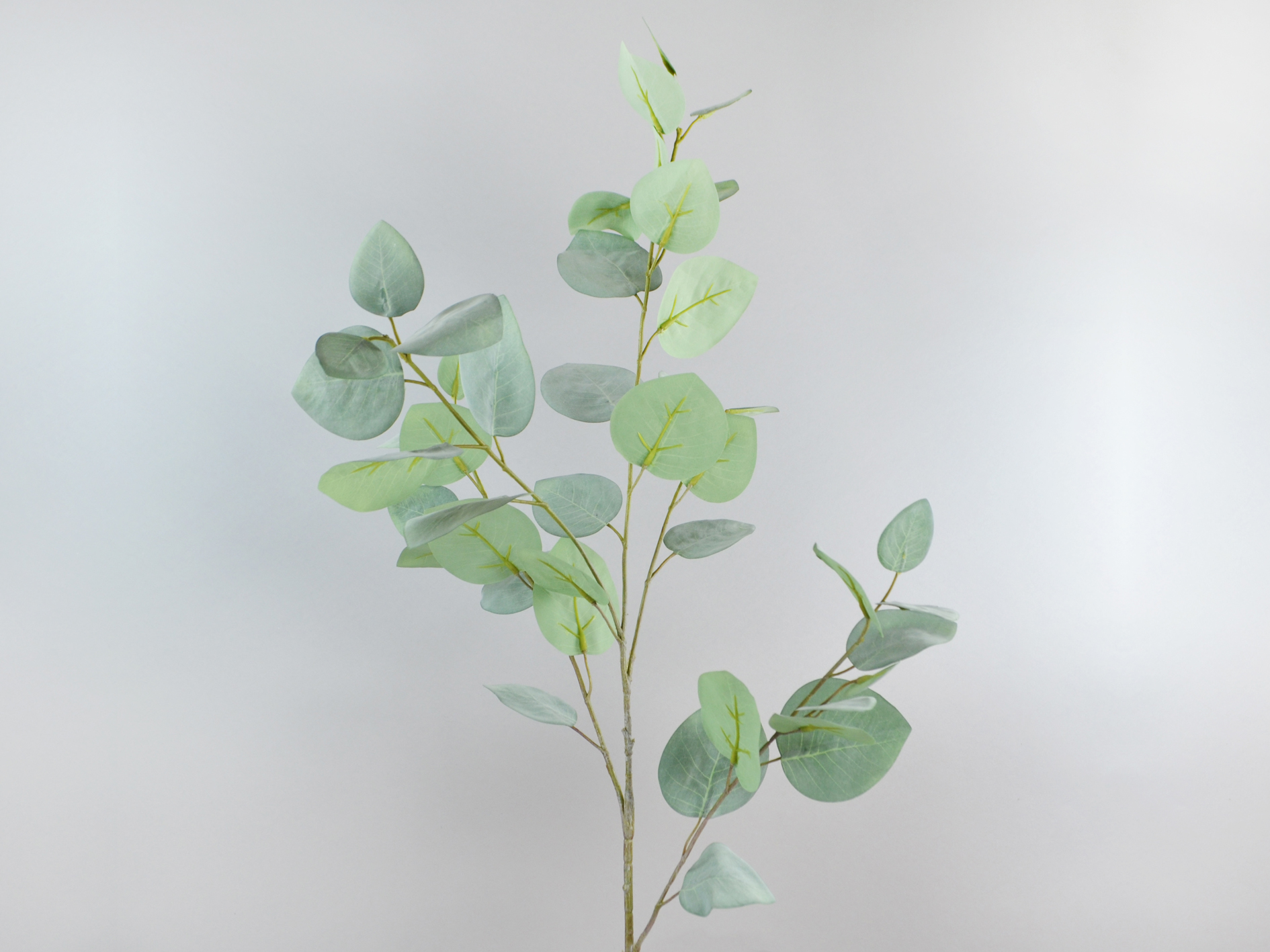 Eucalyptus-Zweig, 95cm, grau-grün