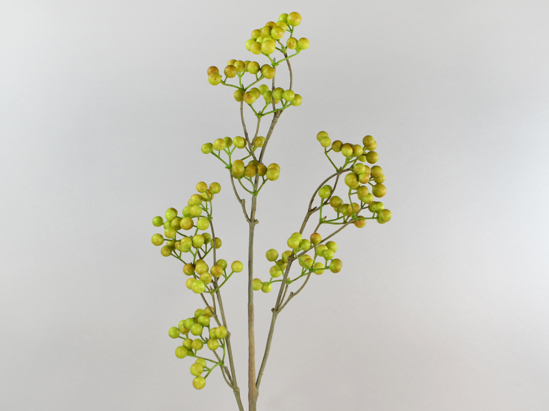 Beerenkluster-Zweig, 68cm, grün