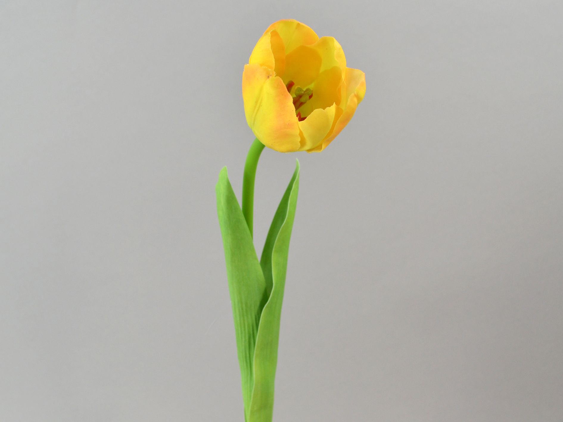Tulpe x1, real touch, 42cm, gelb