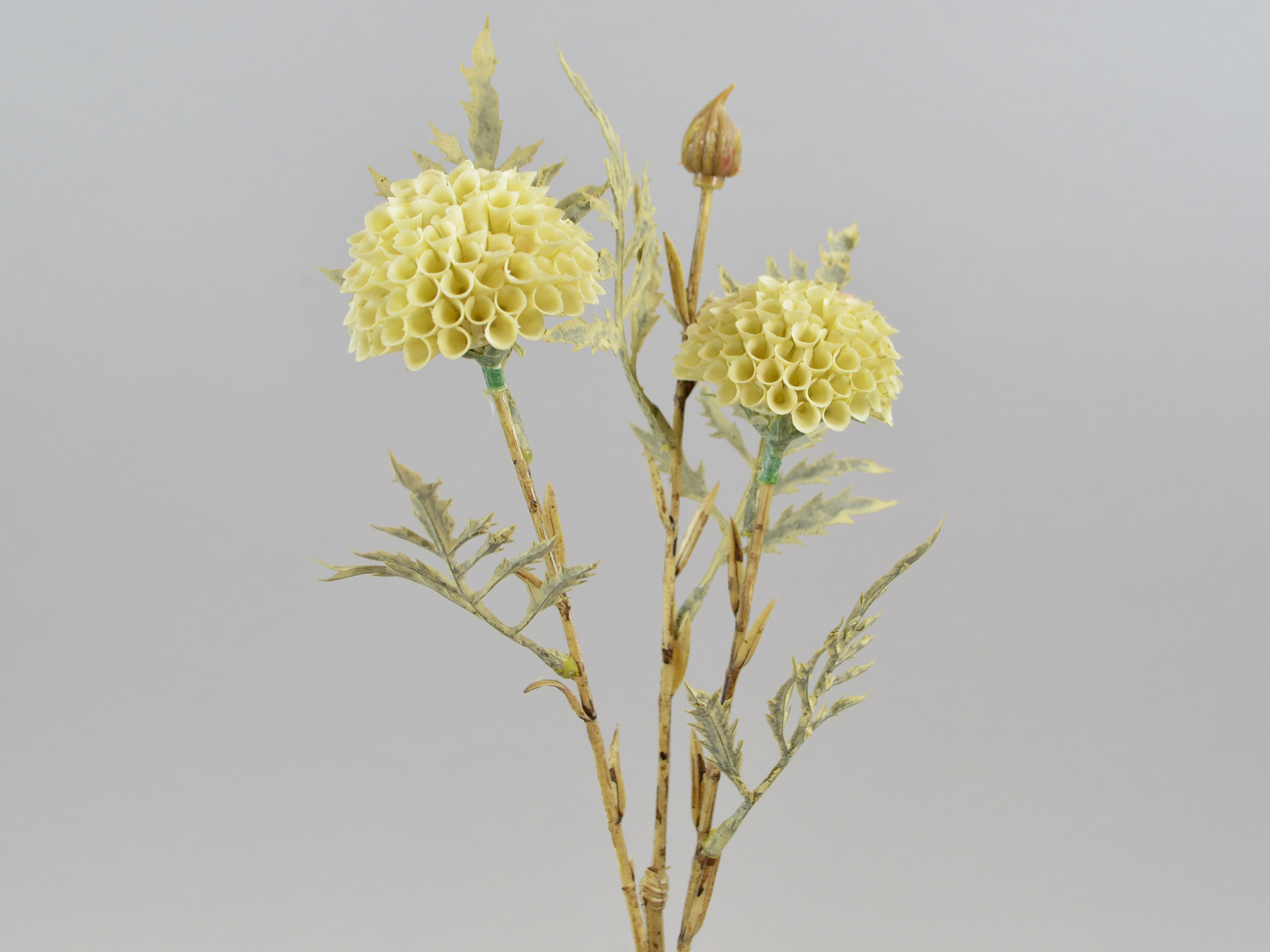 Dahlia branch x2, 45cm, beige