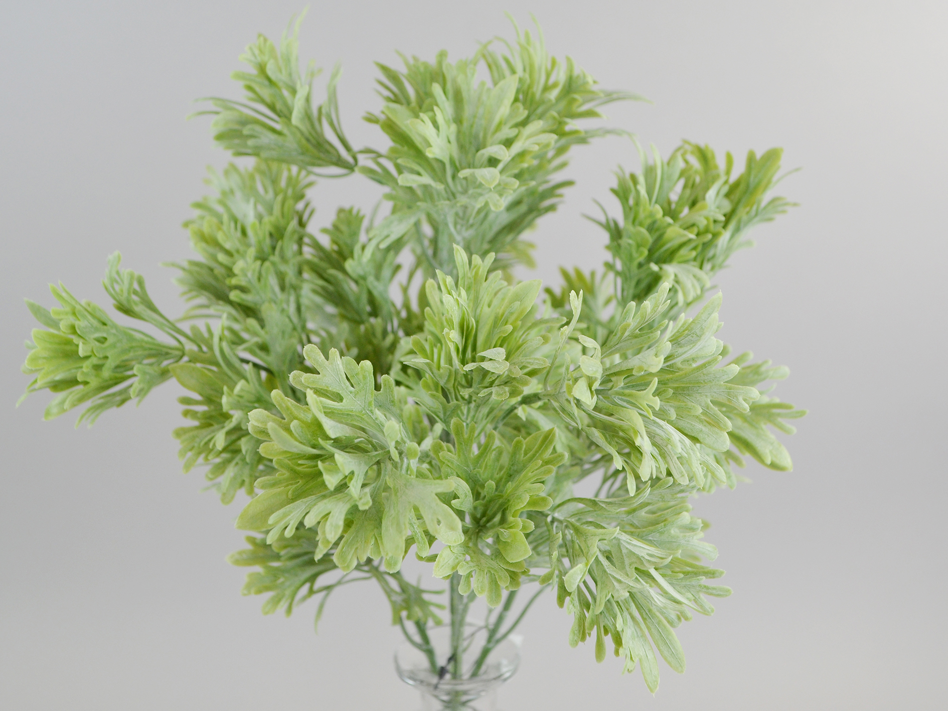 Mandel-Eibischblatt-Busch, 33cm, grün