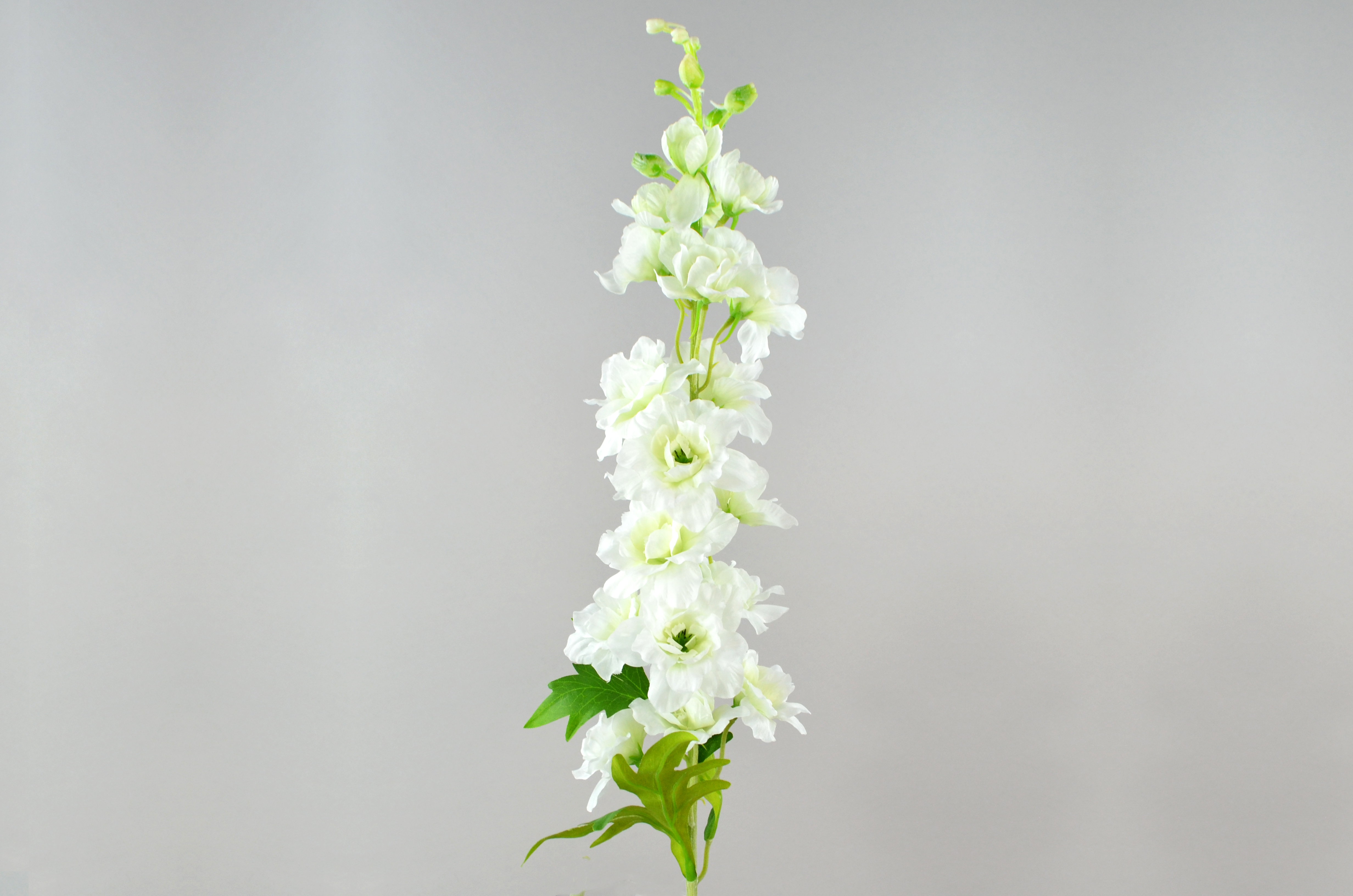 Delphinium-Zweig, 107cm, creme