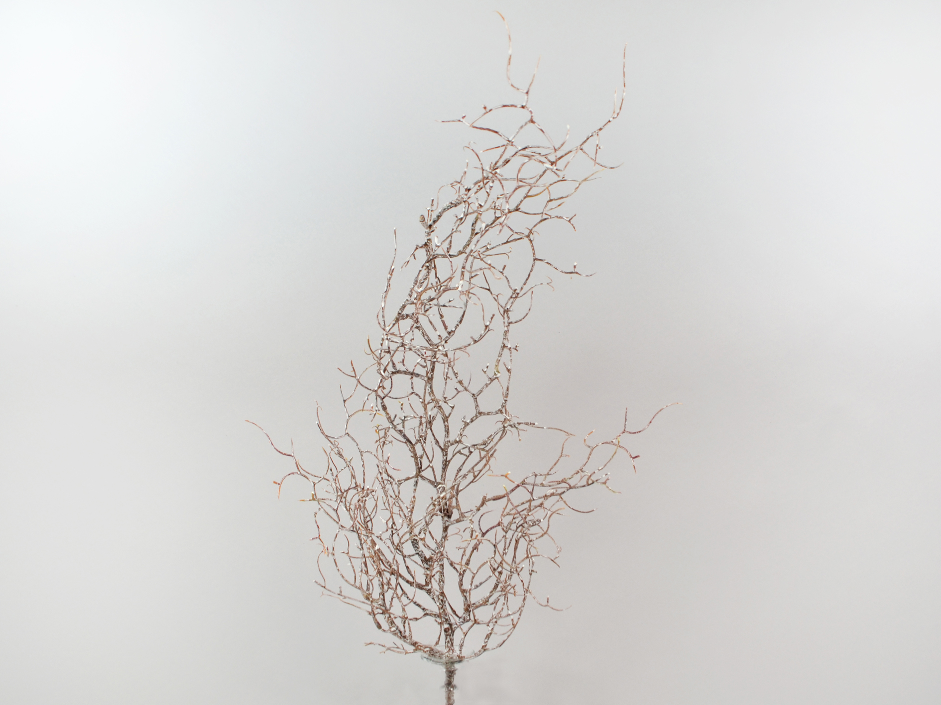 Gekalkter Wurzel-Hänger, 69cm, braun-gekalkt