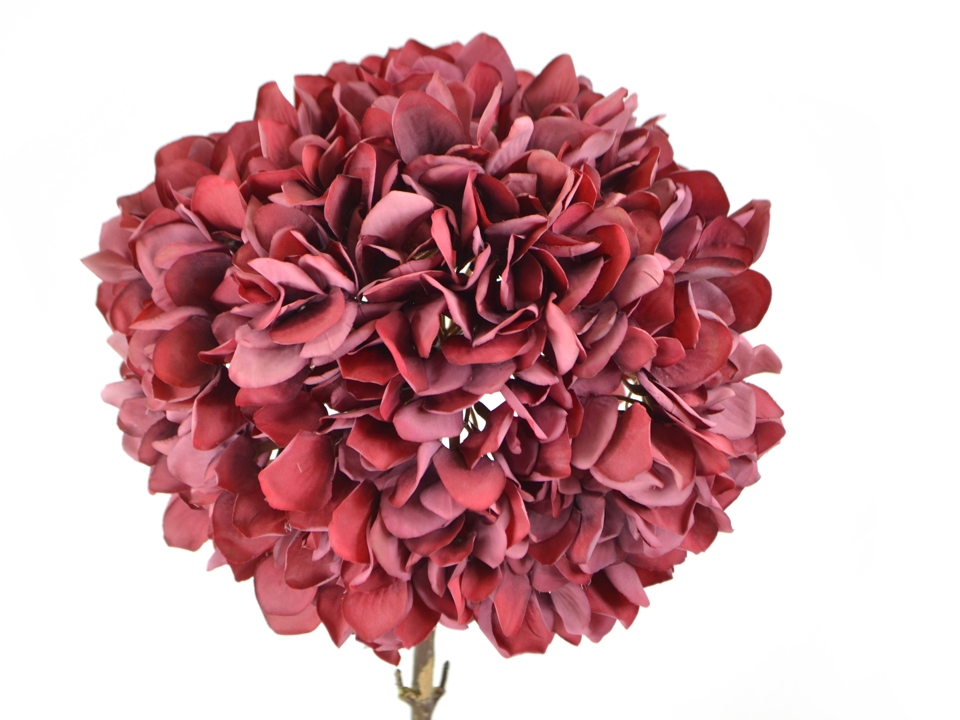Hydrangea branch, 53cm, burgundy