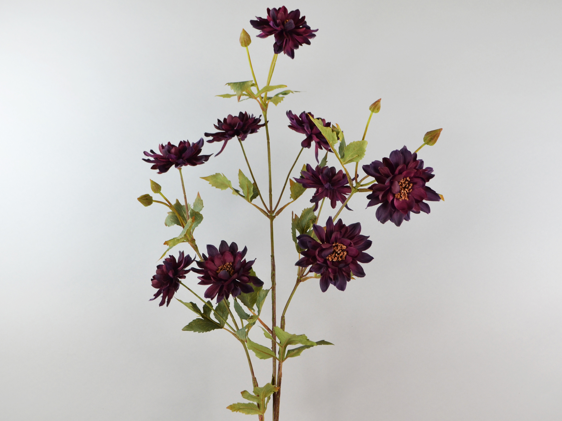 Dahlien-Zweig, 117cm, burgund