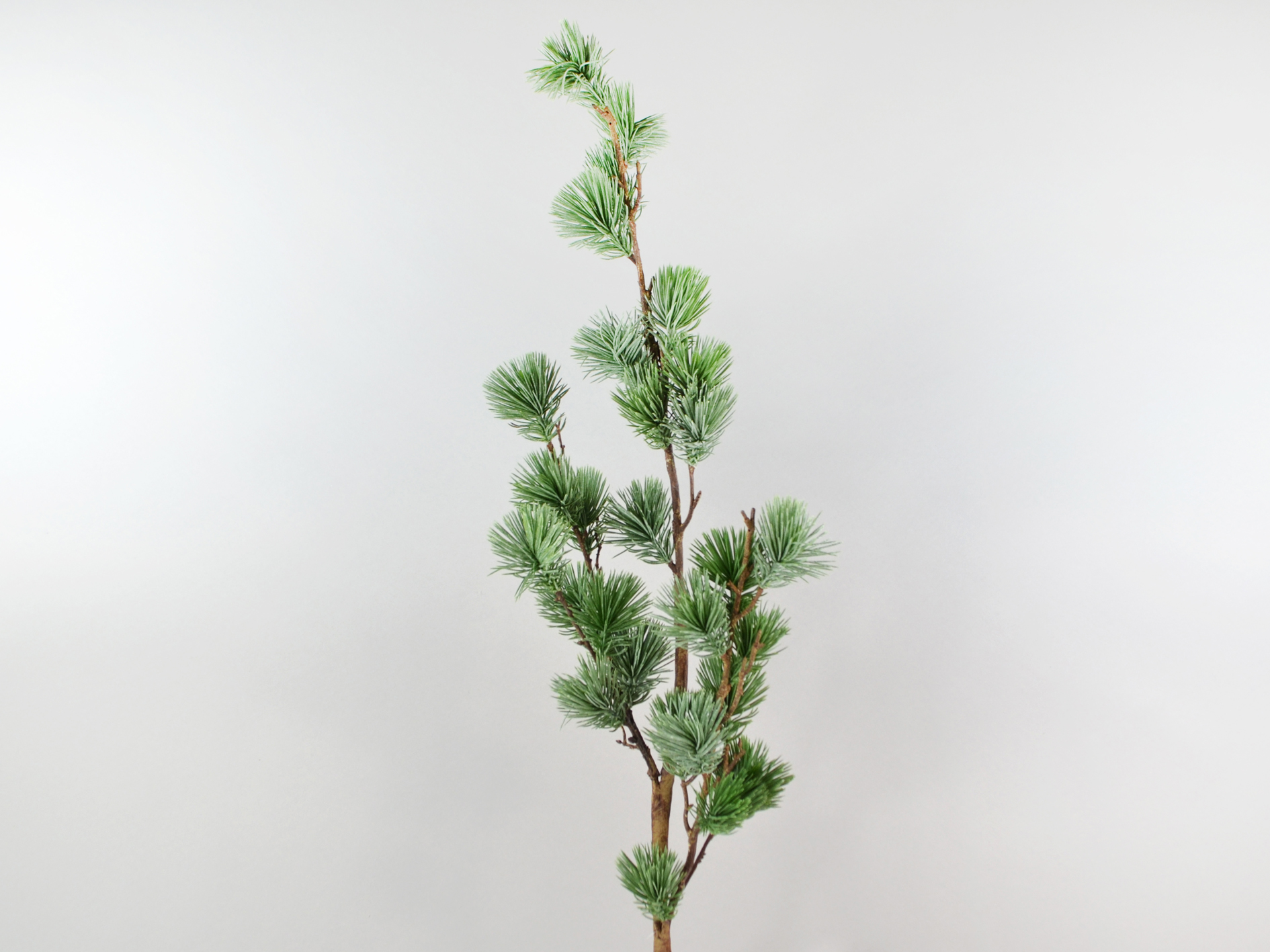 Kiefer Zweig, 107cm,  grau-grün