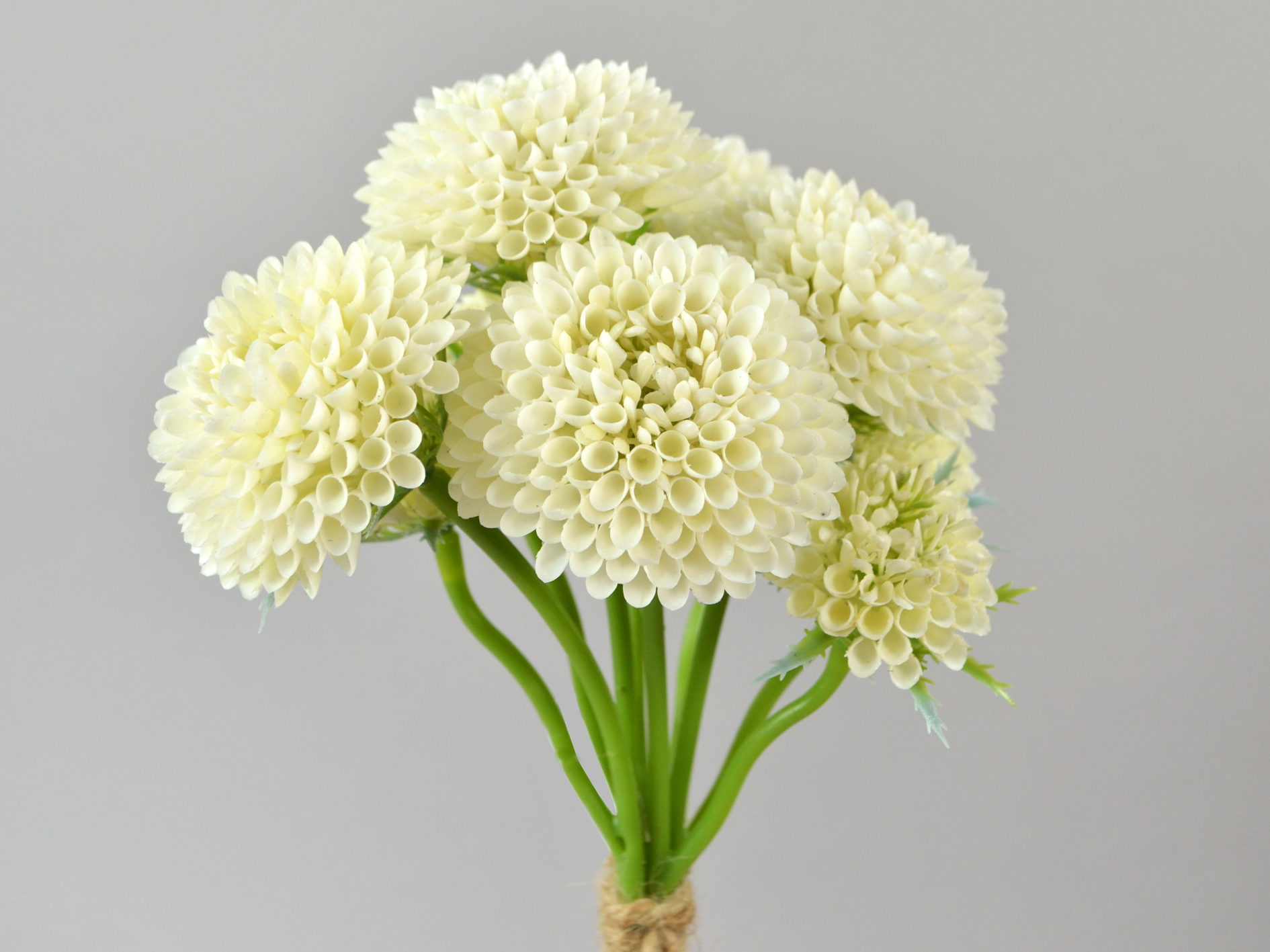 Scabiosa bunch x5, 36cm, white