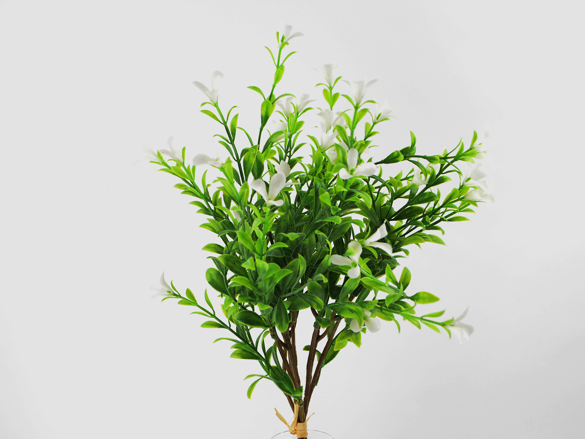 Myrten-Busch mit Blüten, 41cm, weiß