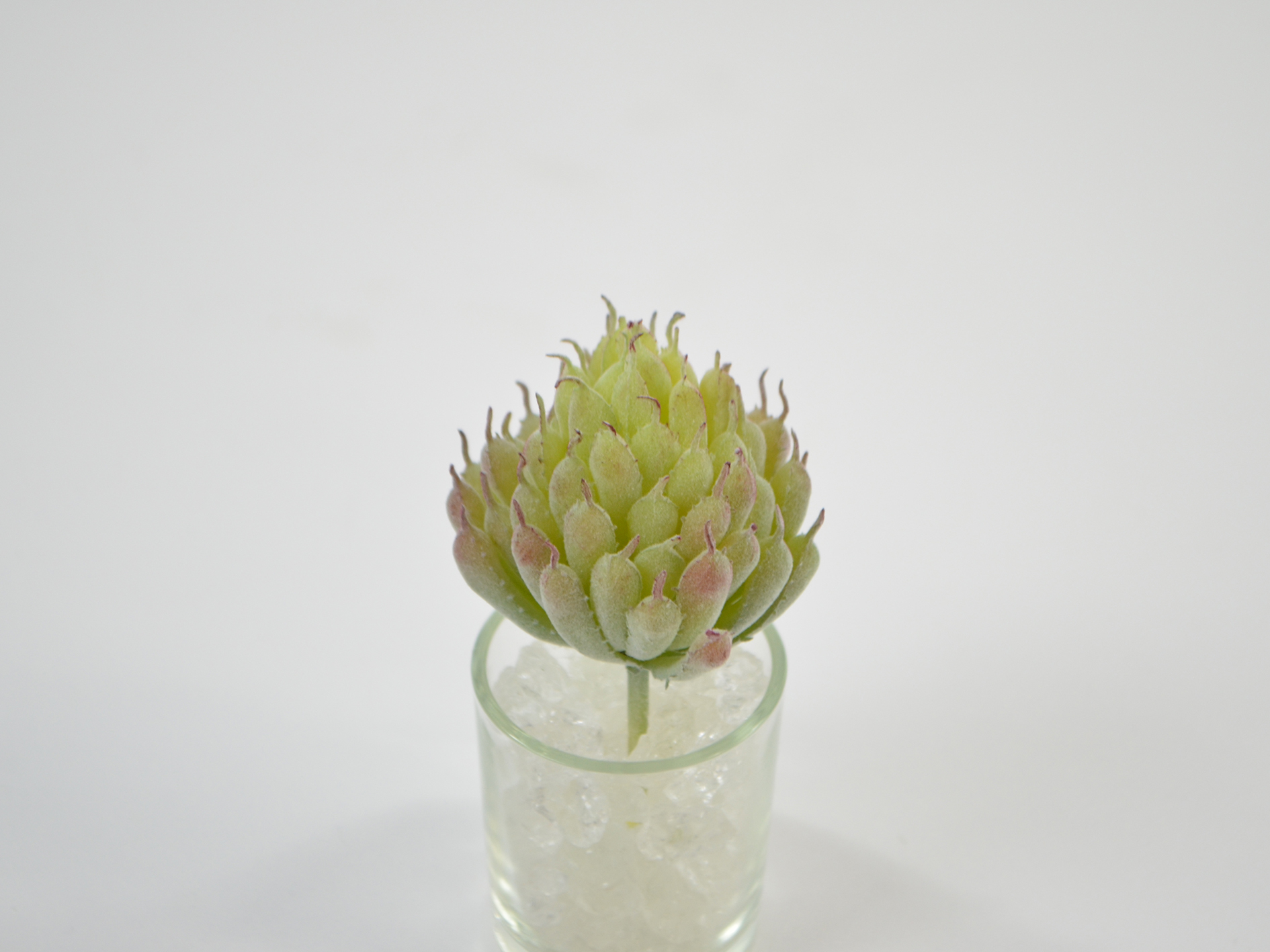 Succulent pick, 11cm, gray-green