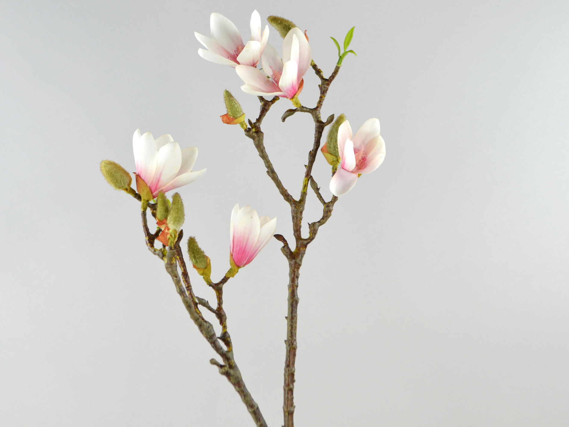 Magnolien-Zweig, 80cm, rosa