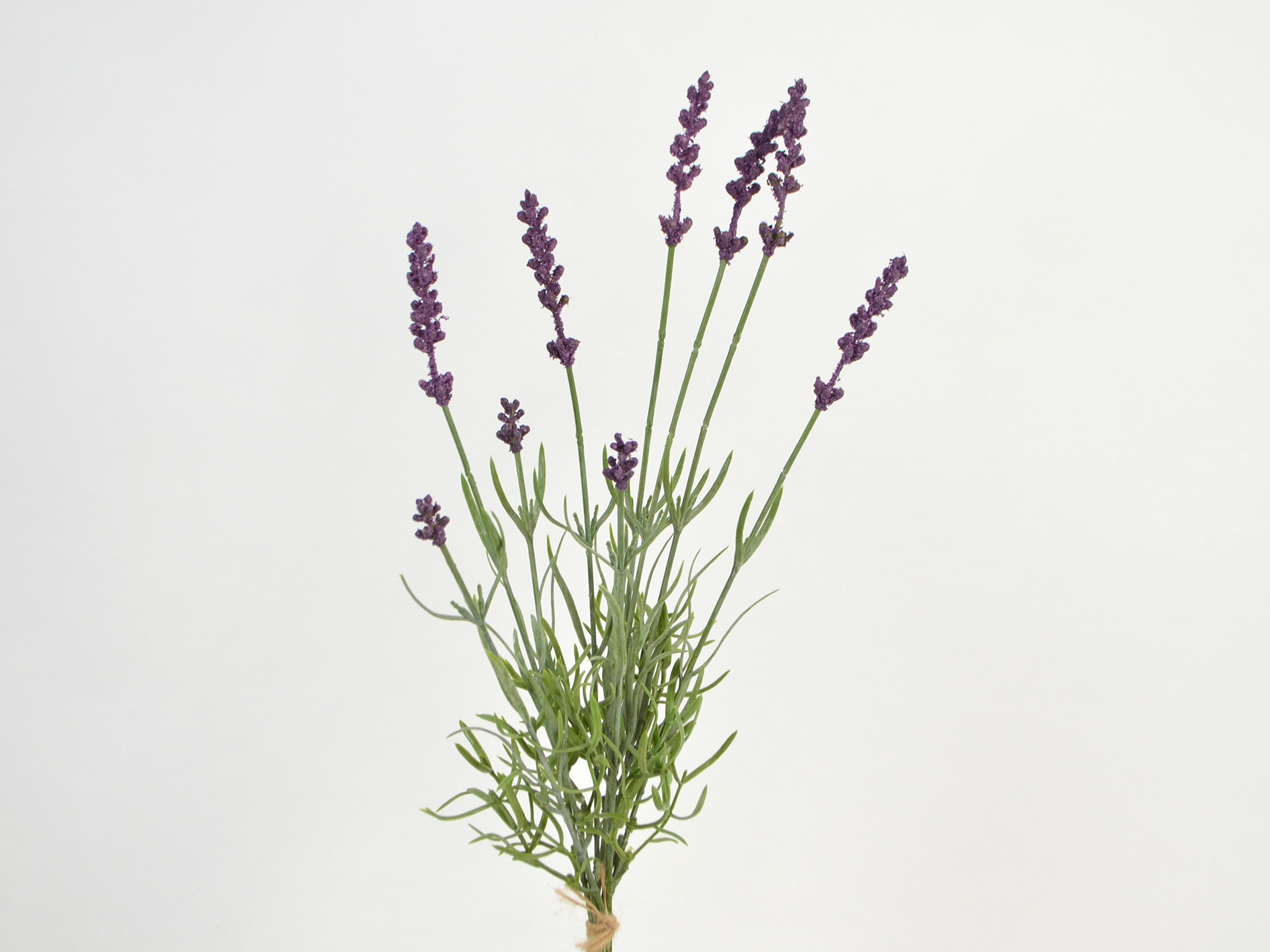 Lavendel-Bündel x9, 40cm, lavendel