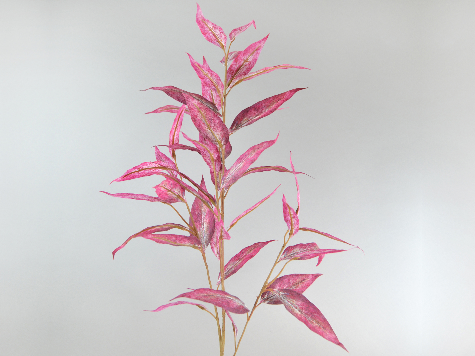 Eucalypthus branch, 97cm, purple