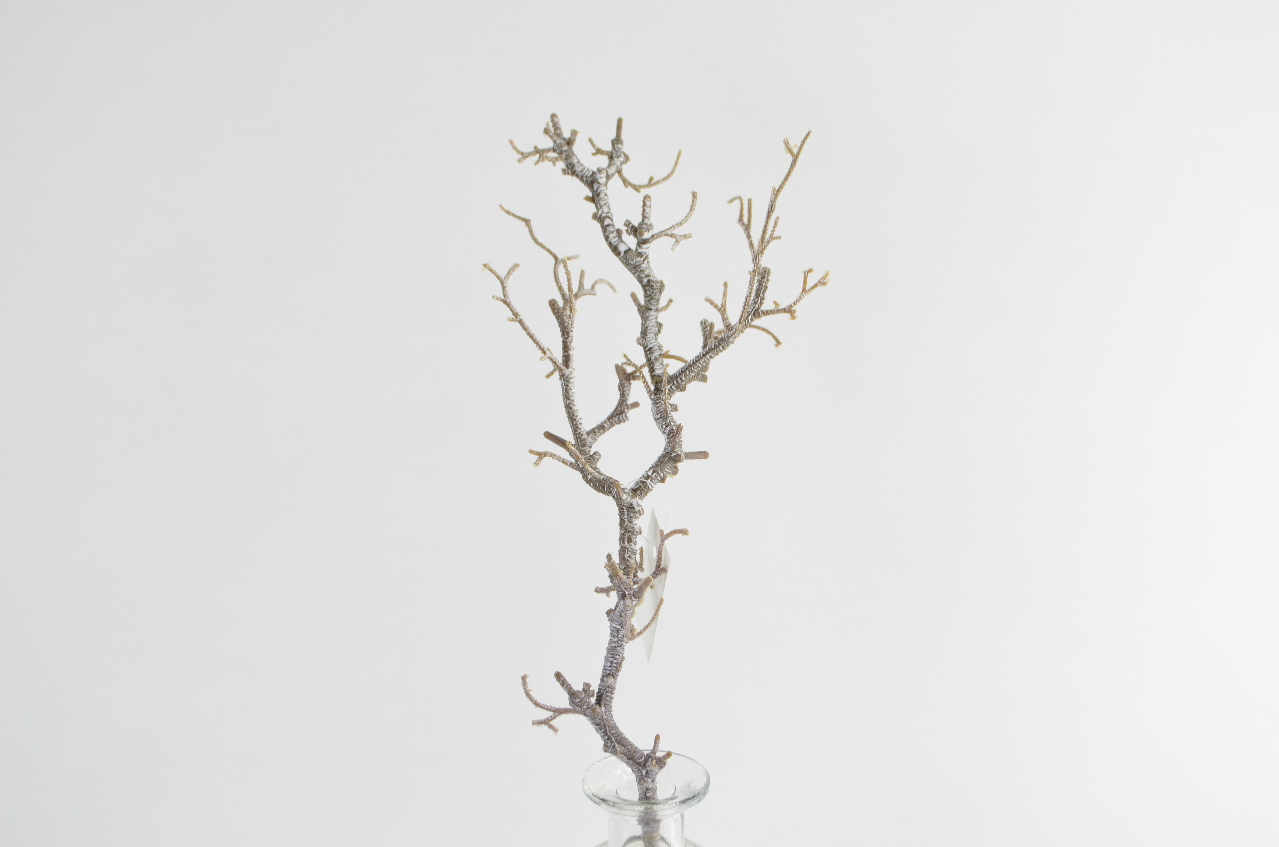 Gekalkter Deko Ast-Zweig, 30cm, gekalkt
