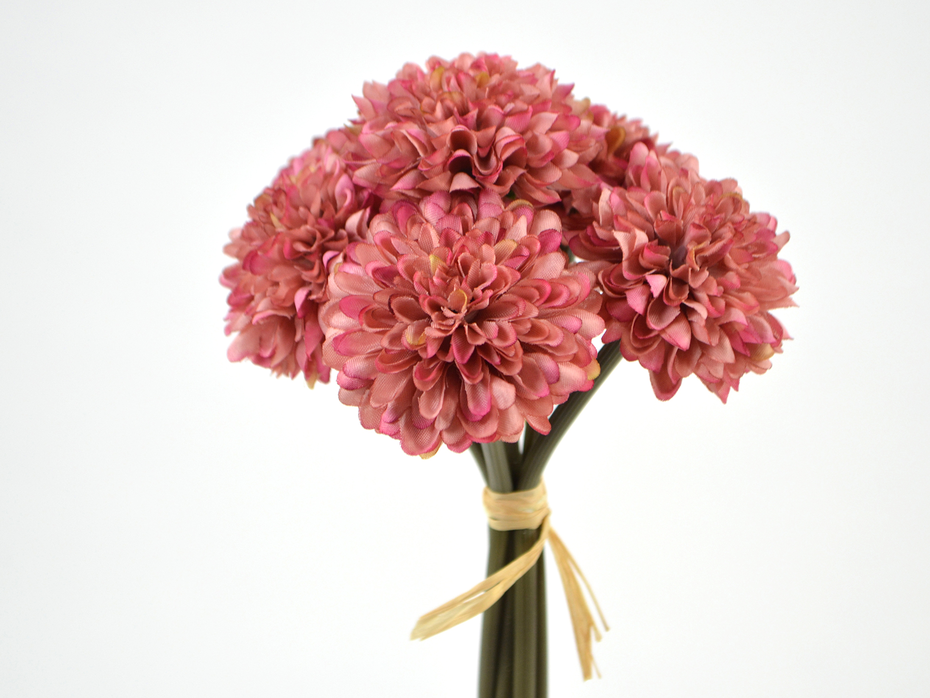 Chrysanthemenbdl x6, 20cm, malve