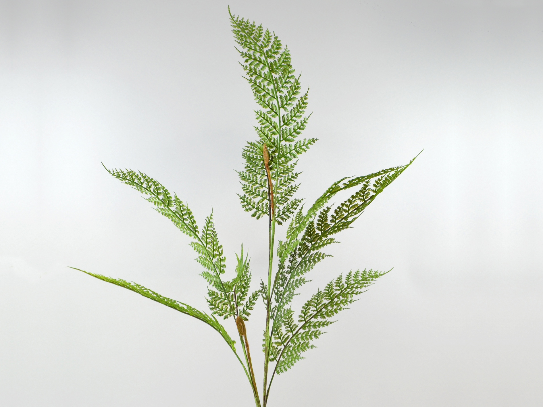 Farn-Zweig, 90cm, grün