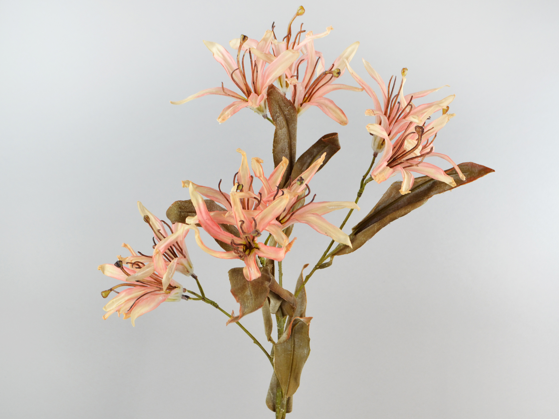 Bauhinia branch, 83cm, pink