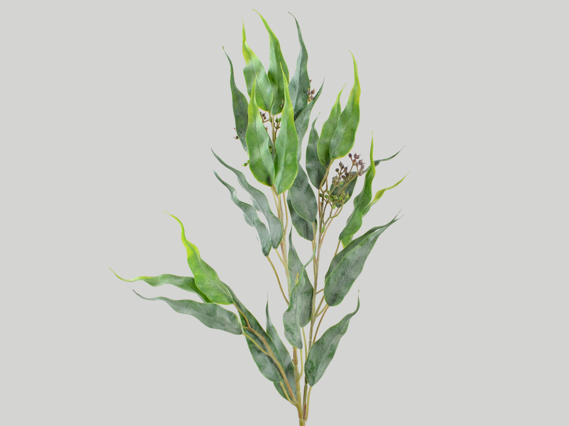 Eucalyptus branch, 76cm, green-red