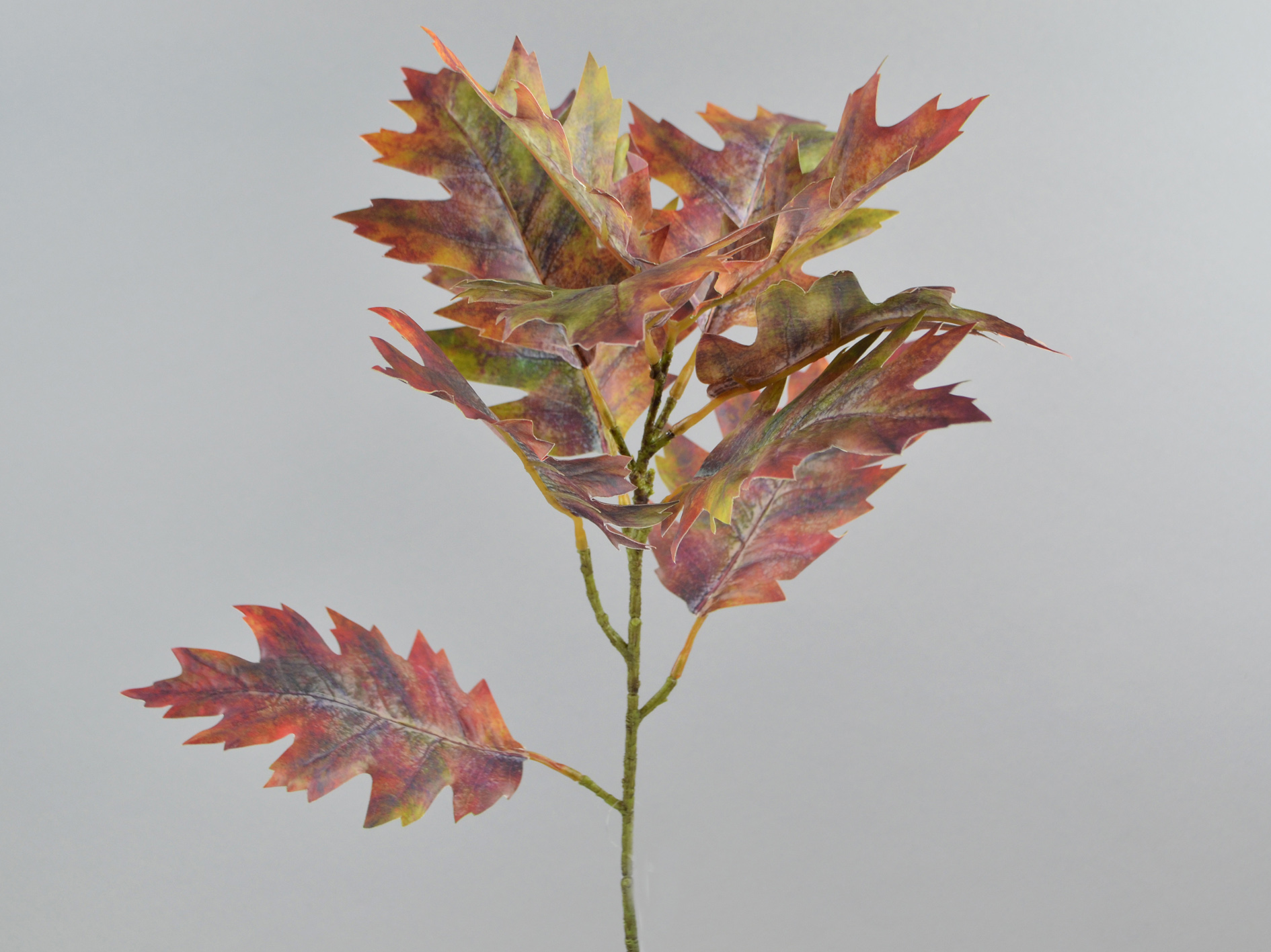 Oak leaf branch, 69cm, burgundy