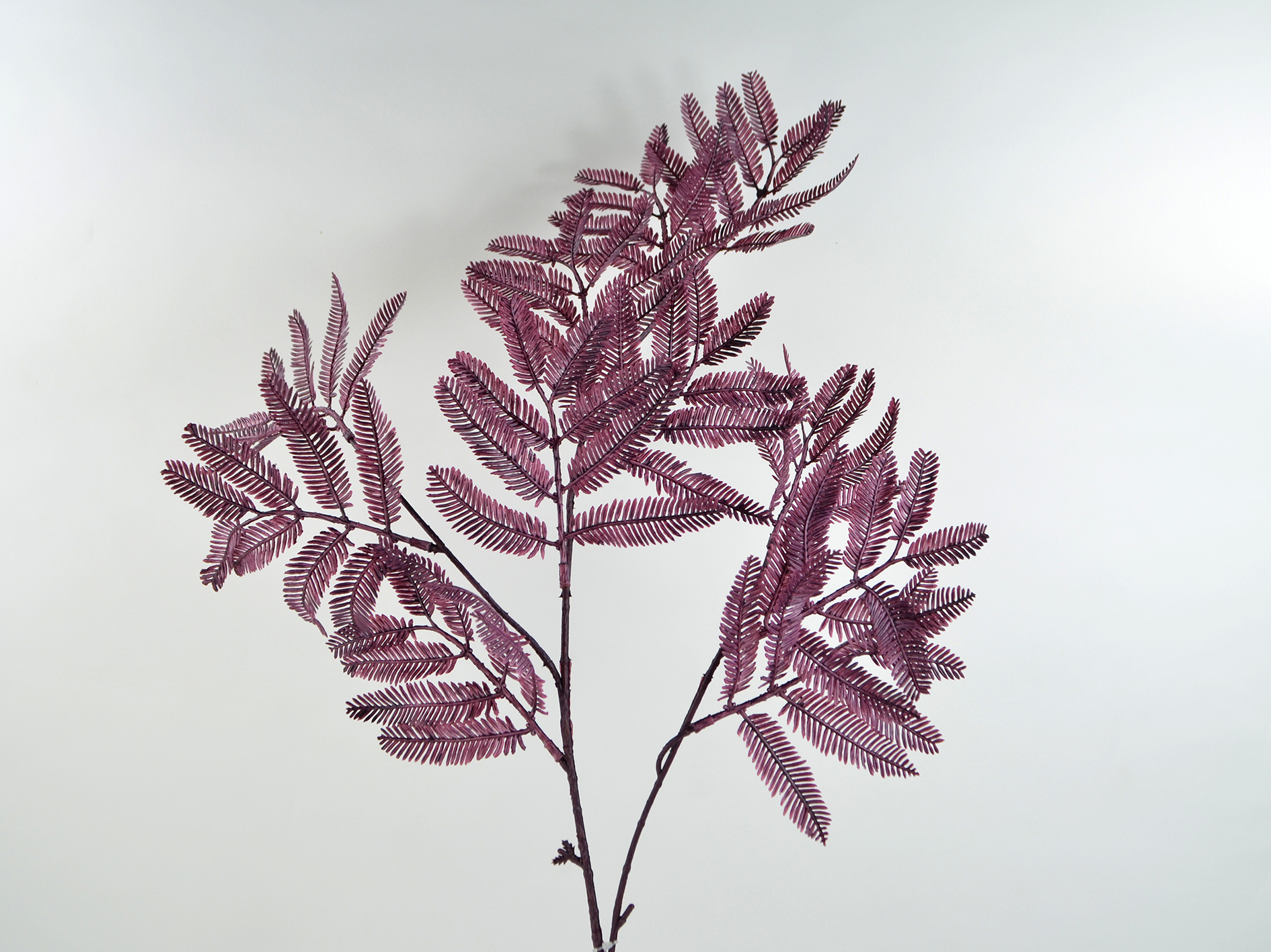 Mimosa branch x3, 88 cm, fuchsia