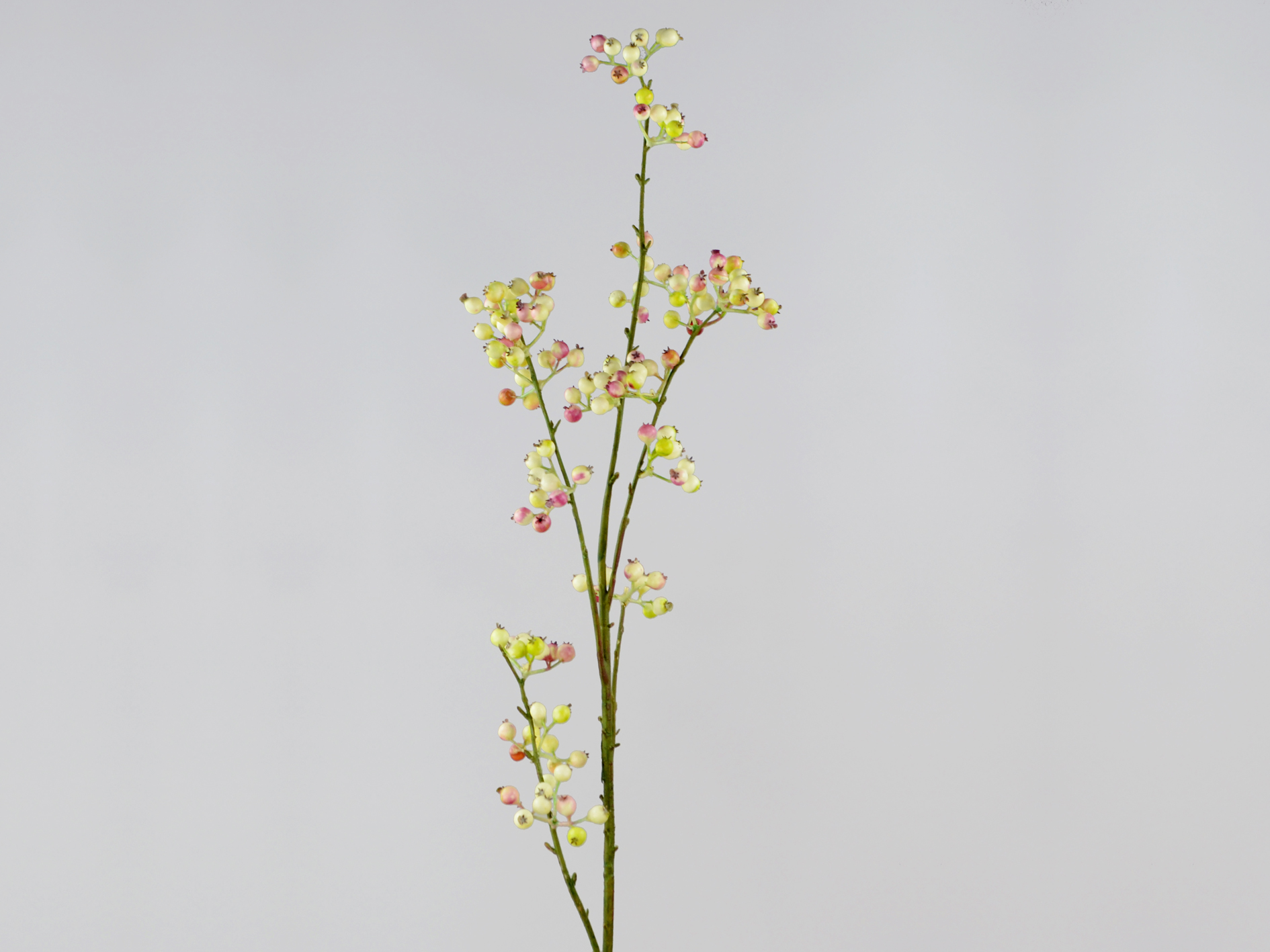 Hagebutten-Zweig, 102cm, peach