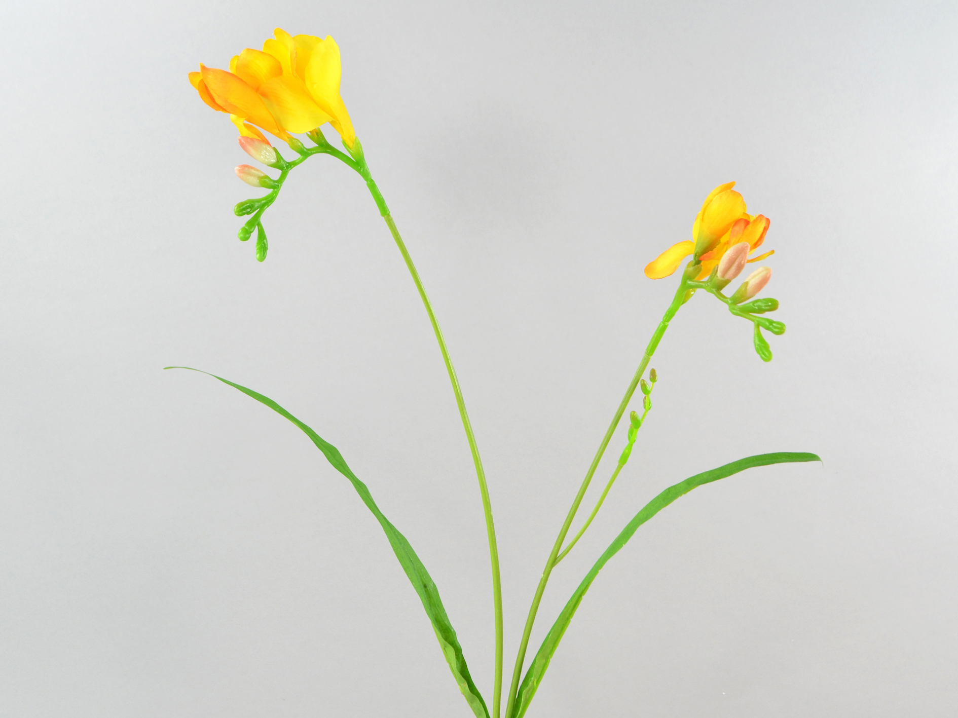 Freesia branch, 61cm, yellow