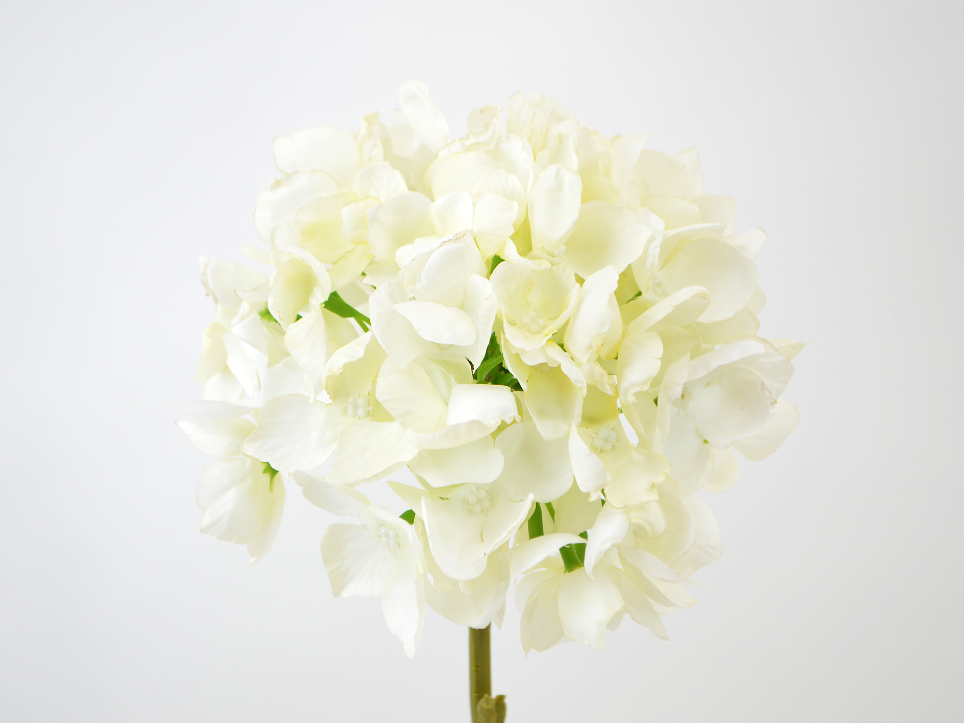 Hydrangea branch, 45cm, cream