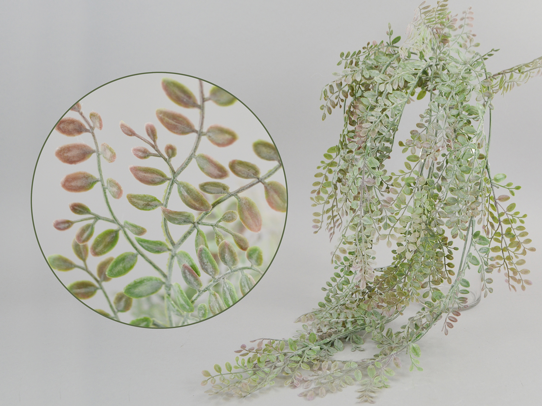 Pfefferblatt-Hänger x5, 78cm, lila-grün