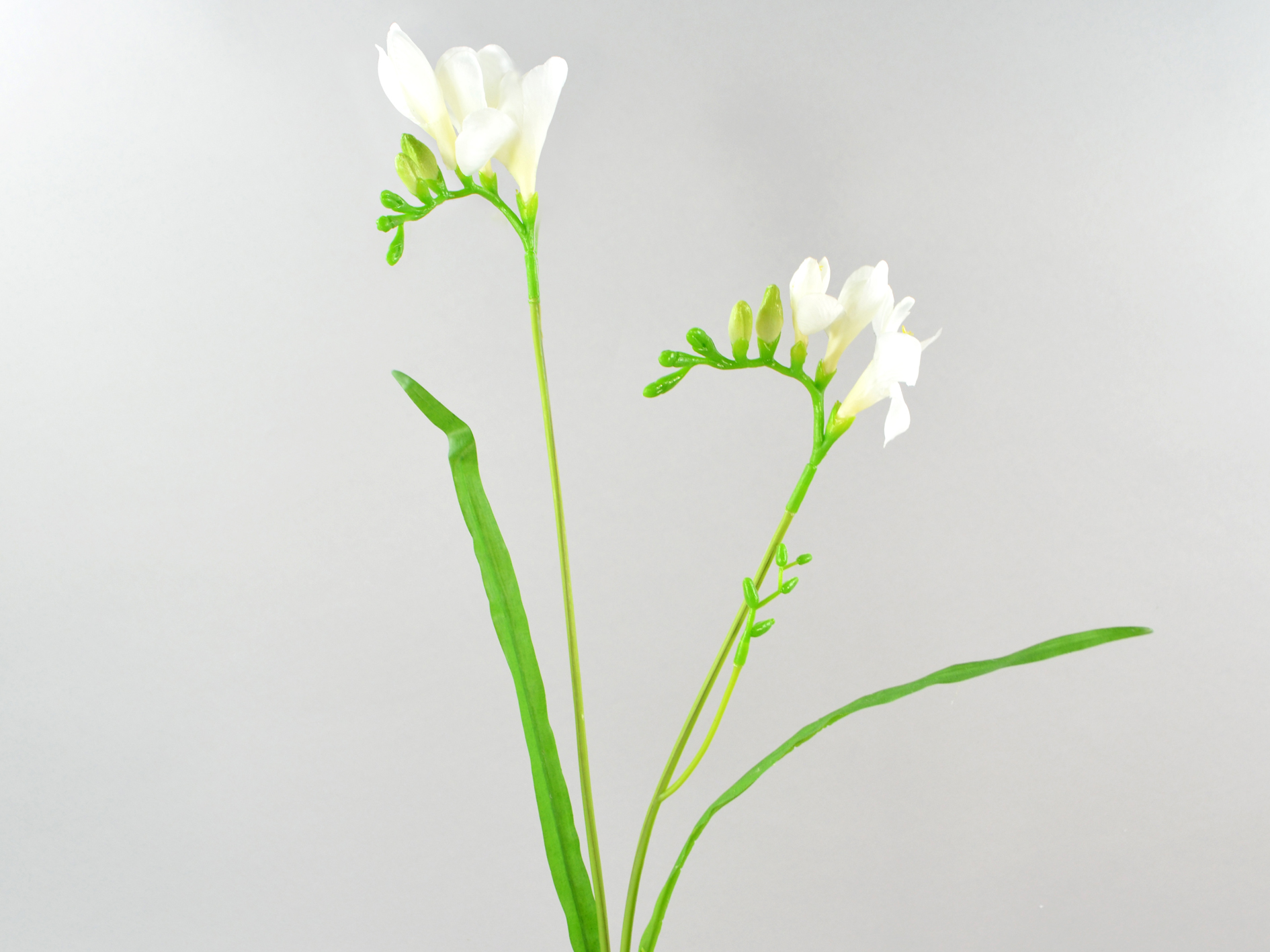 Freesia branch, 61cm, white