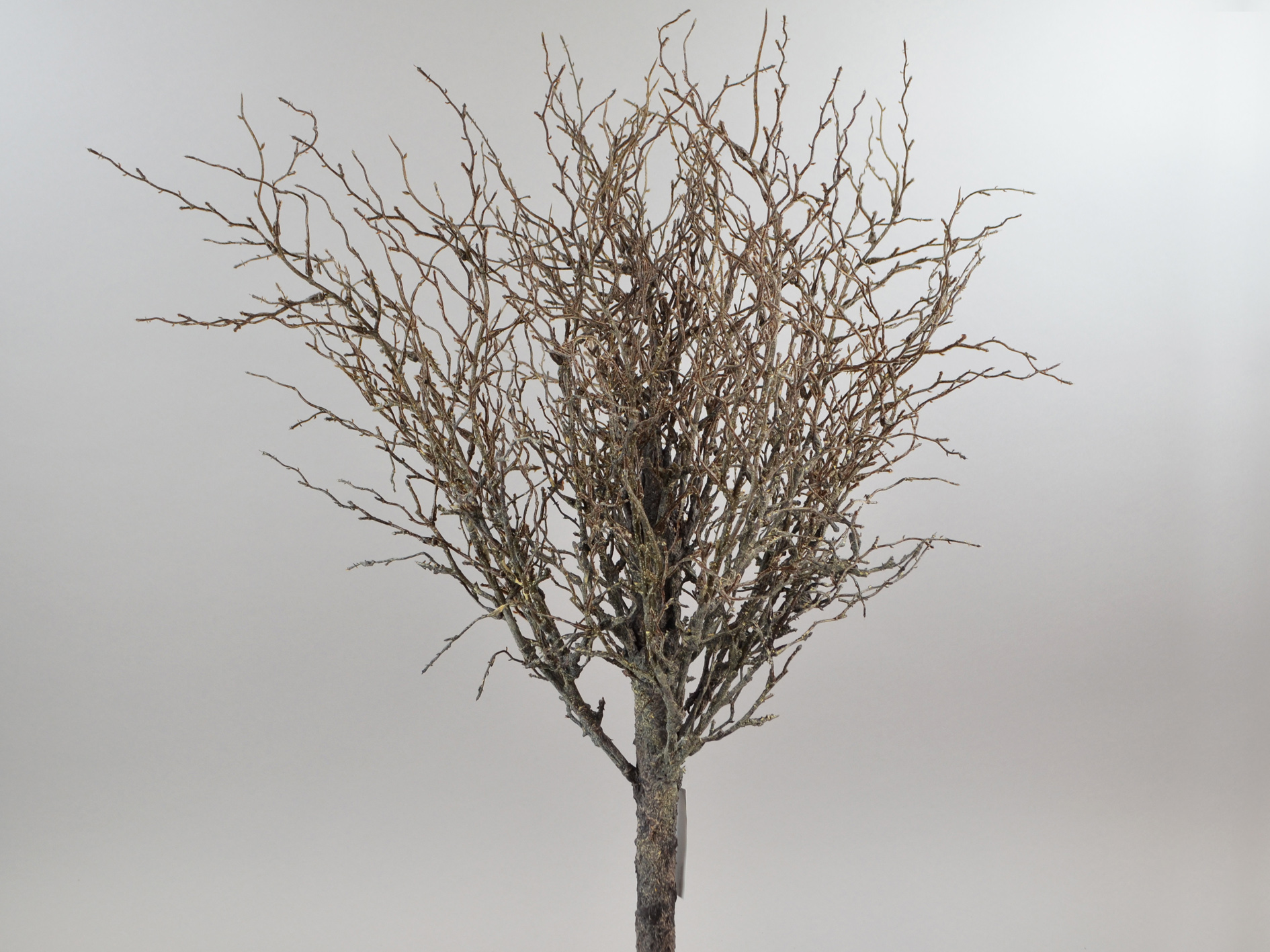 Gekalkter Deko-Ast Busch verzweigt, 80cm, braun gekalkt