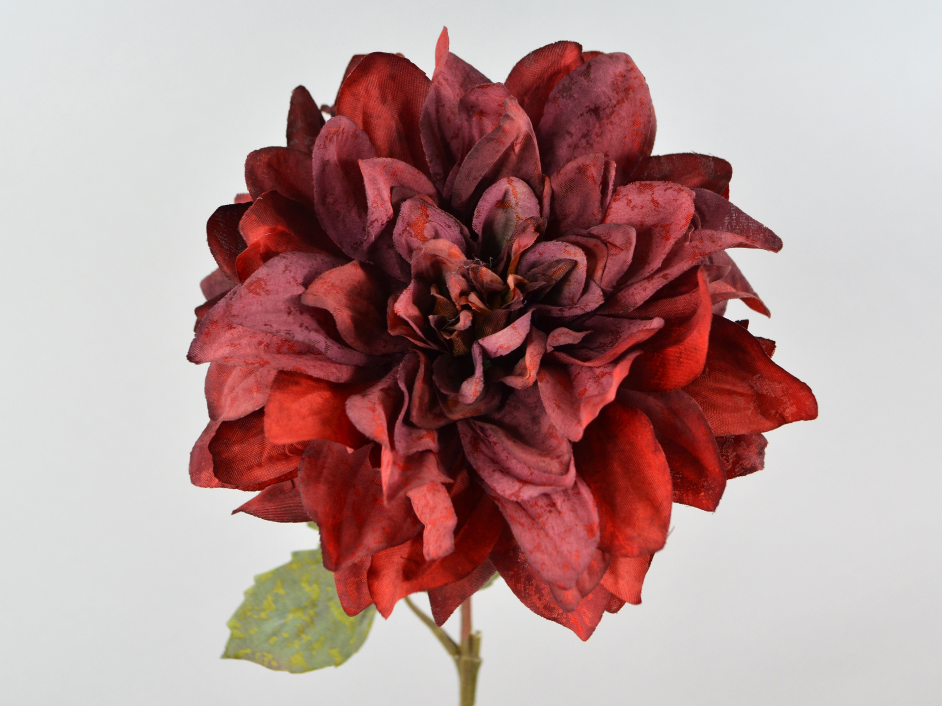 Dahlien-Zweig, 62cm, dunkelrot