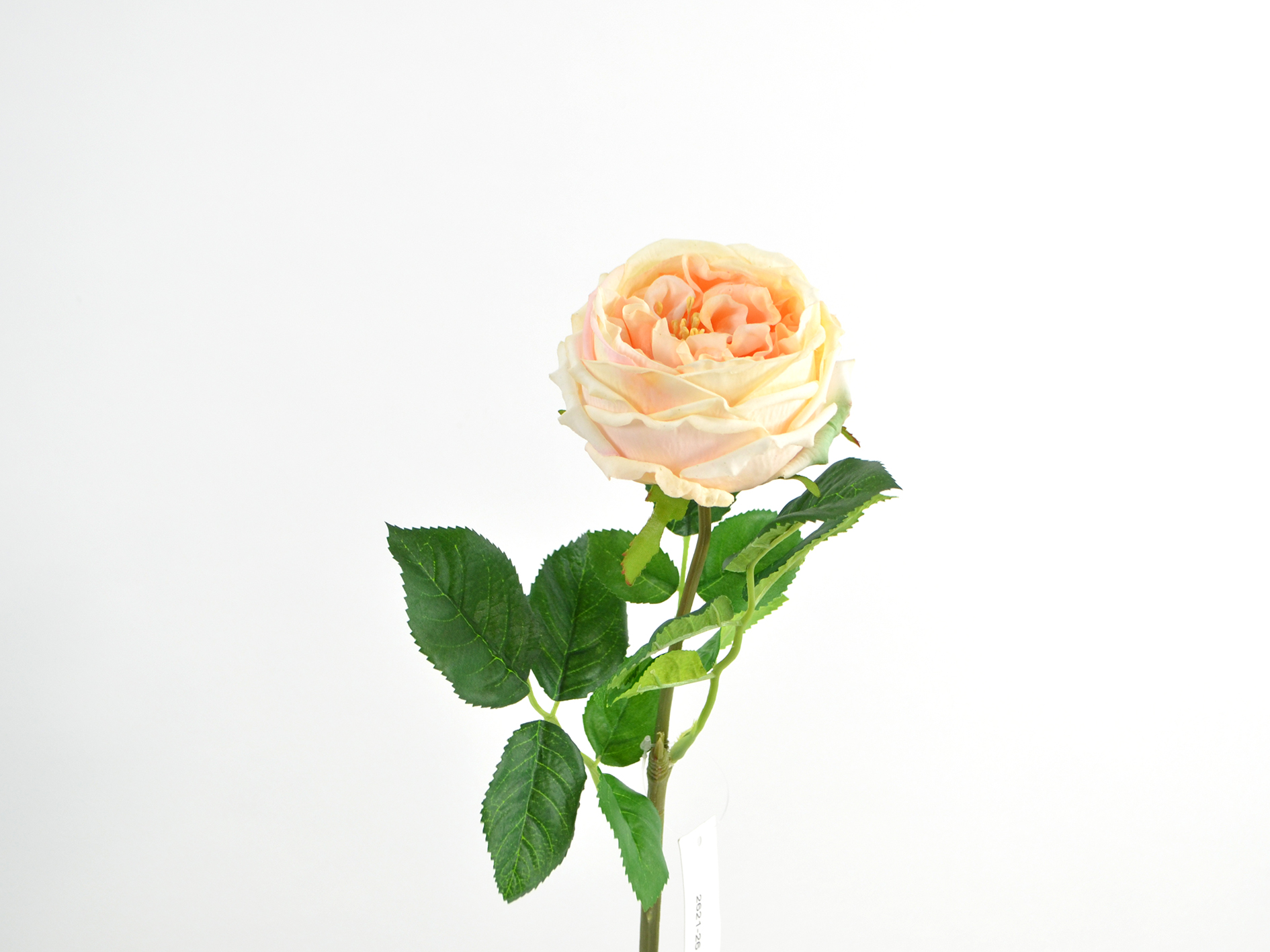 Cabagerose natural touch, 59cm, gelb
