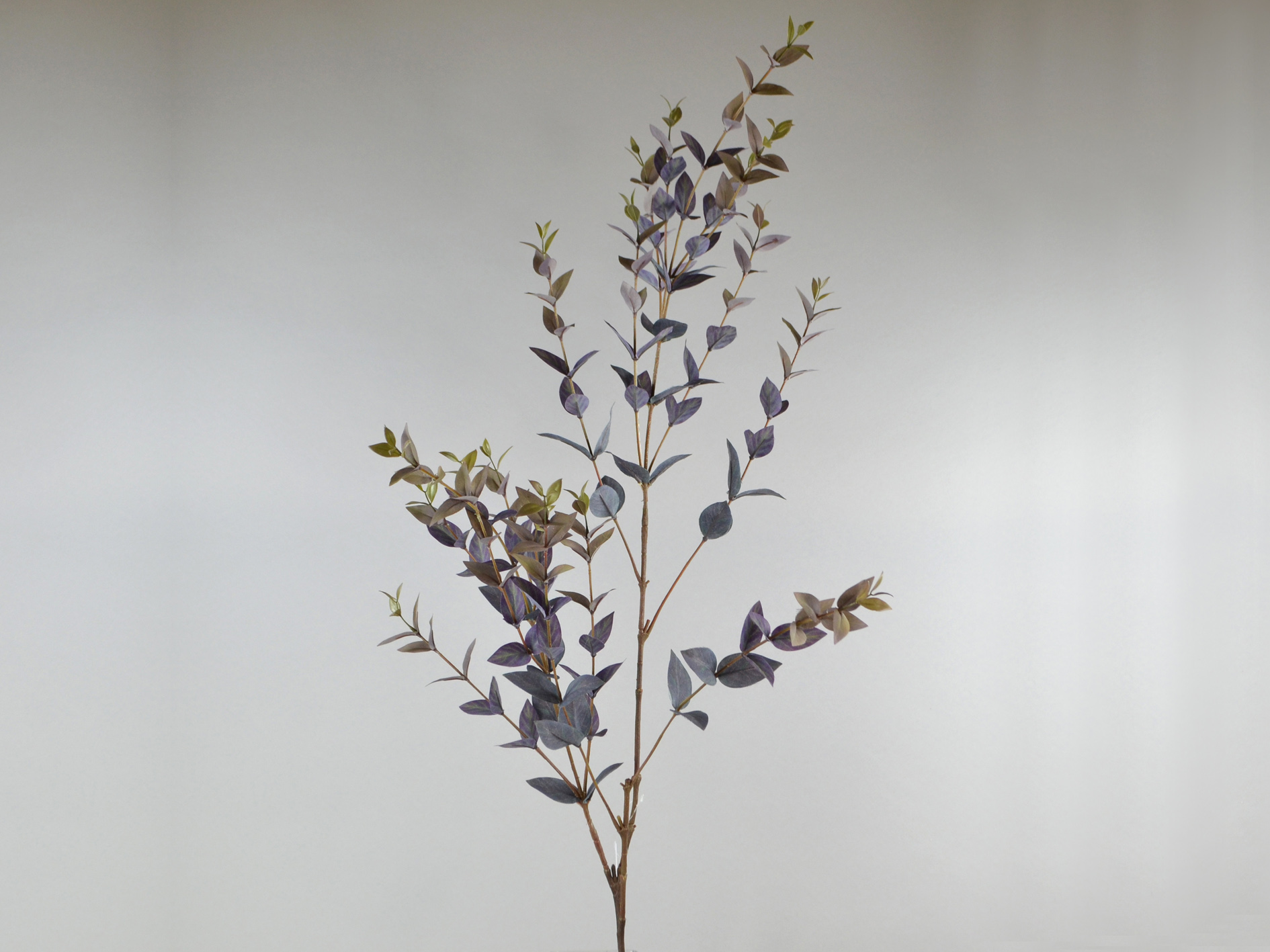 Eucalyptus branch, 114cm, purple-green