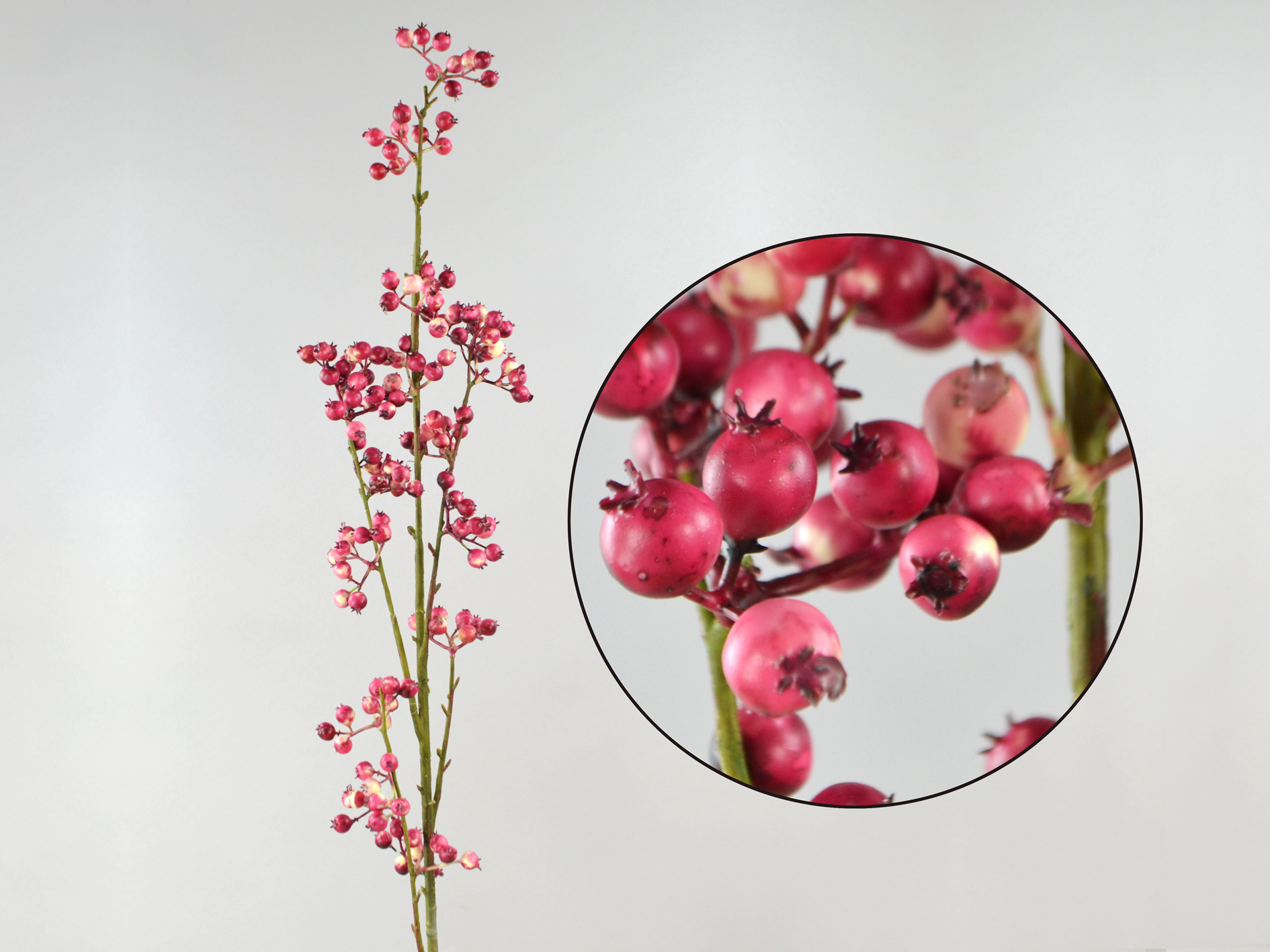 Hagebutten-Zweig, 102cm, rot