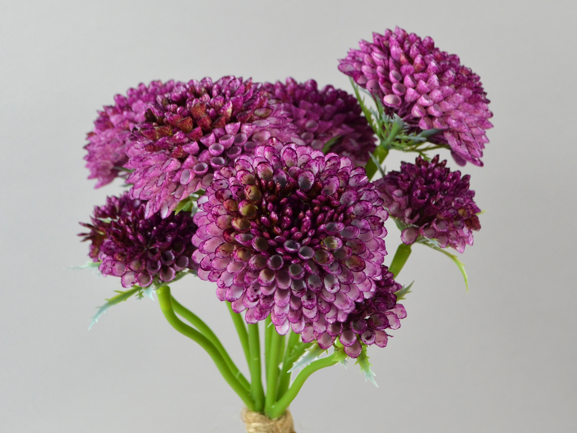 Scabiosa bunch x5, 36cm, purple