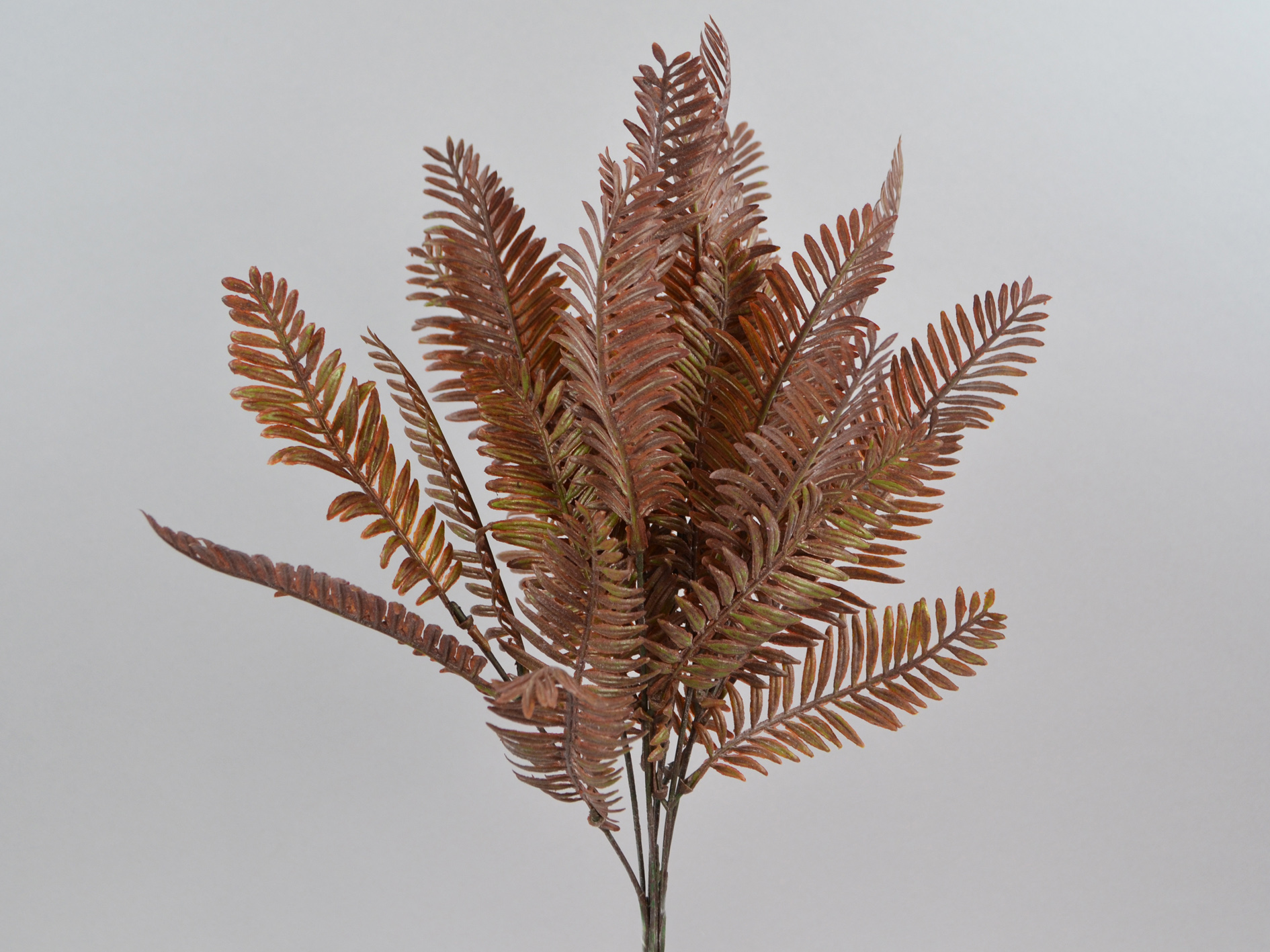 Lederfarn-Busch, 38cm, rosa-grün