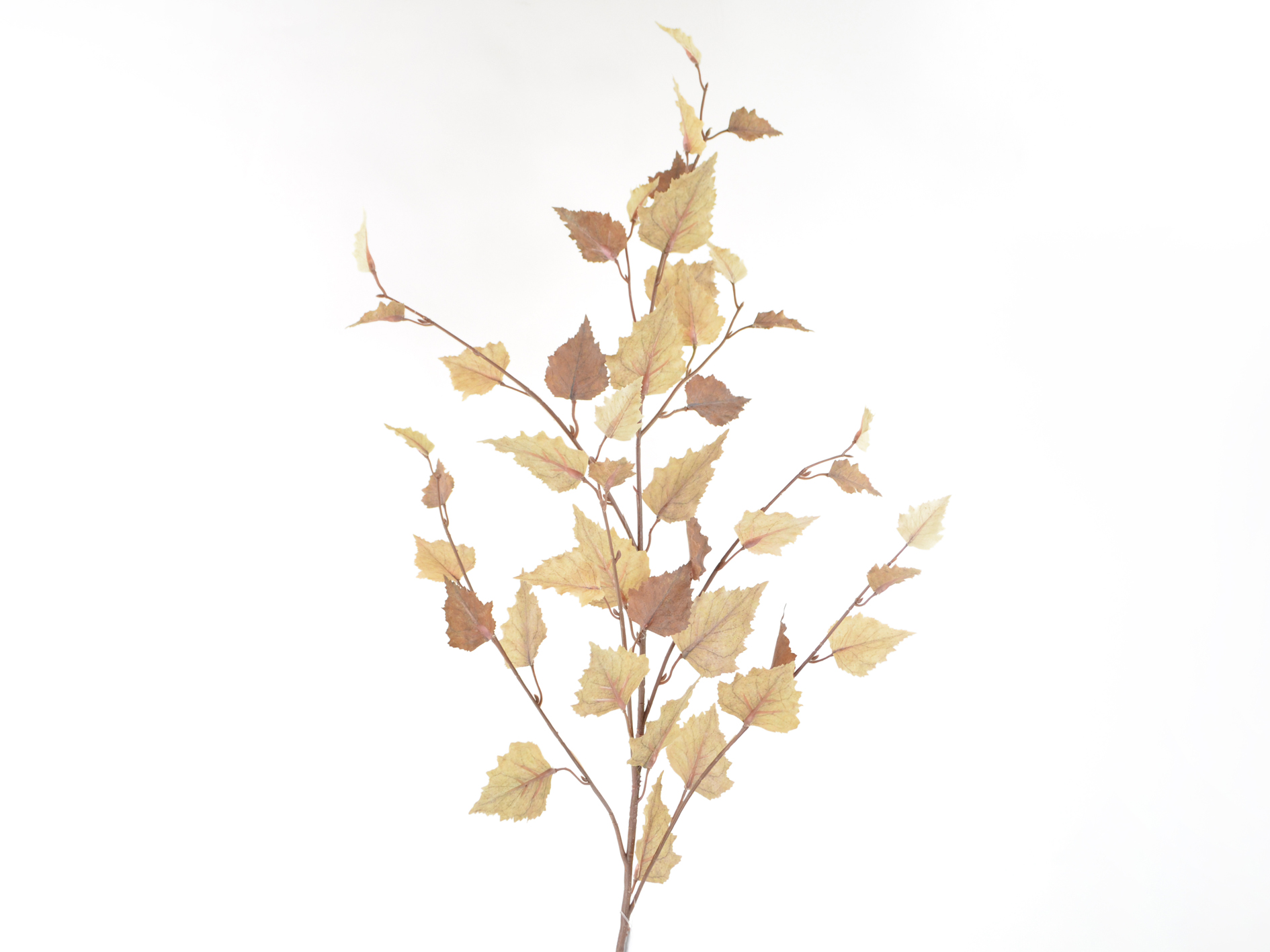 Birch leaf branch, 96cm, green-brown